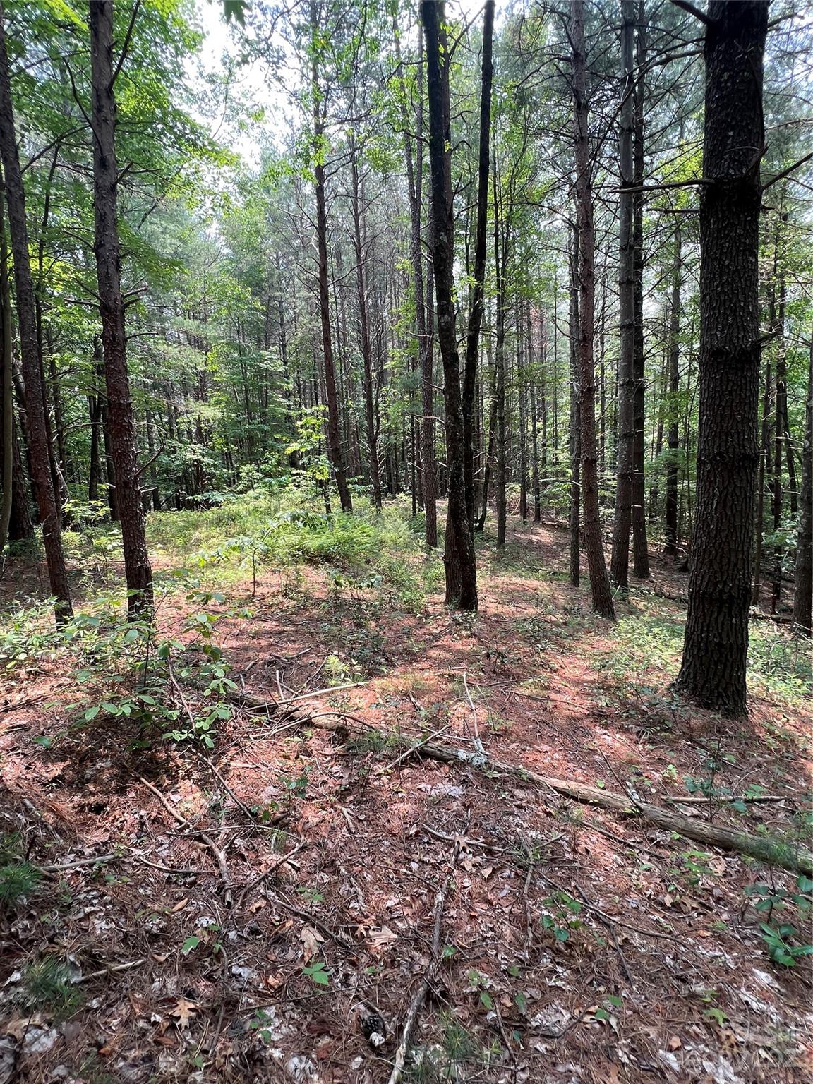 9589 Shortoff View Terrace Nebo NC 28761