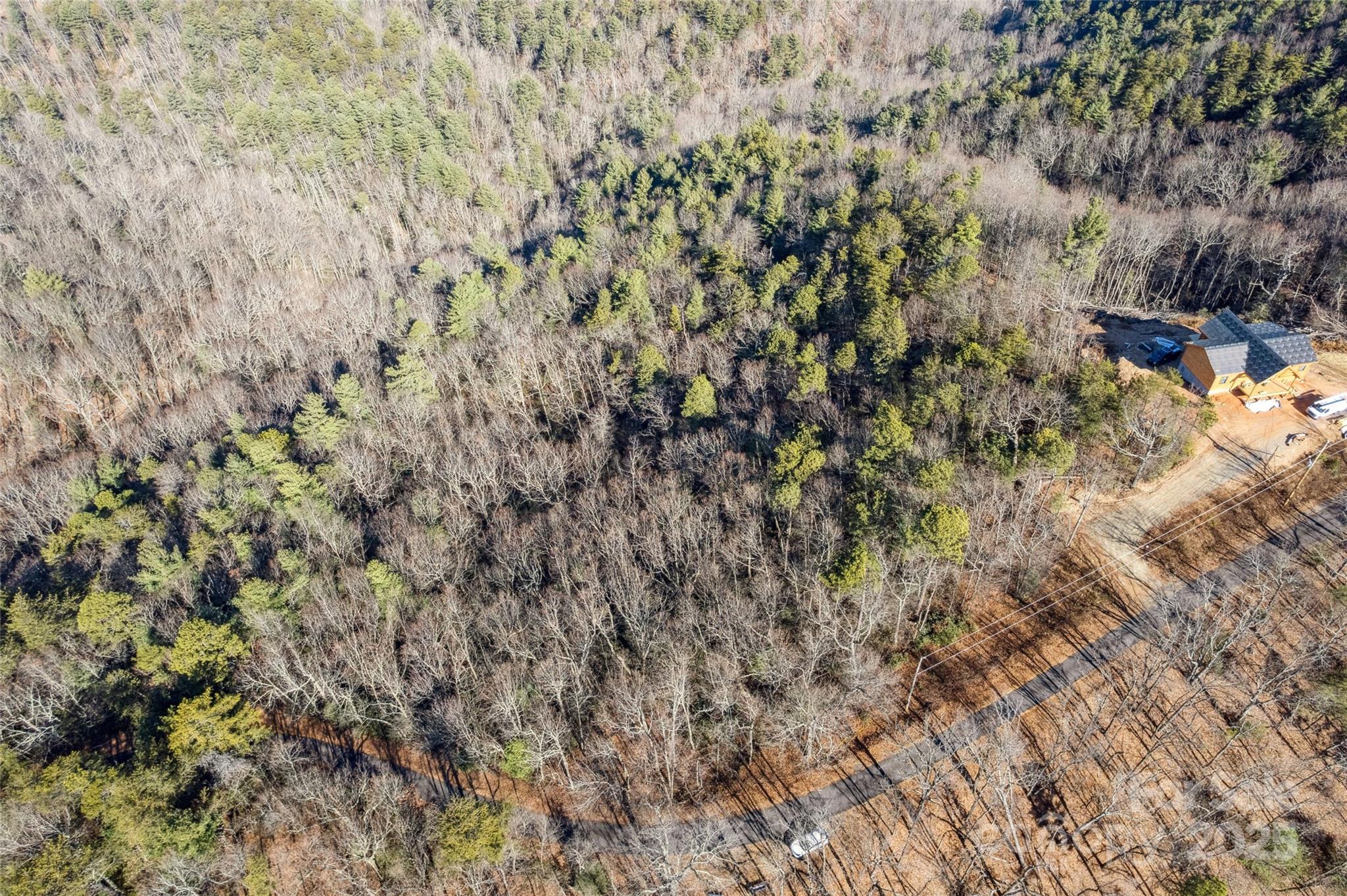 5241 Pine Ridge Drive Connelly Springs NC 28612