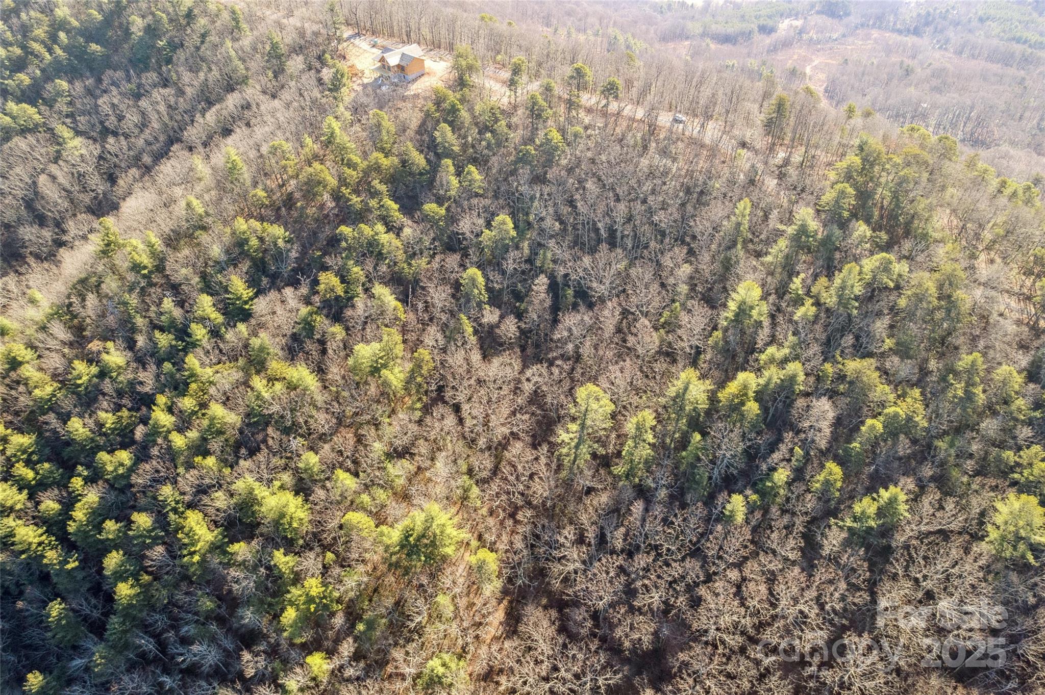 5241 Pine Ridge Drive Connelly Springs NC 28612