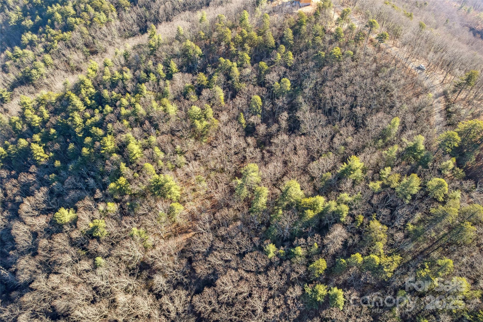 5241 Pine Ridge Drive Connelly Springs NC 28612