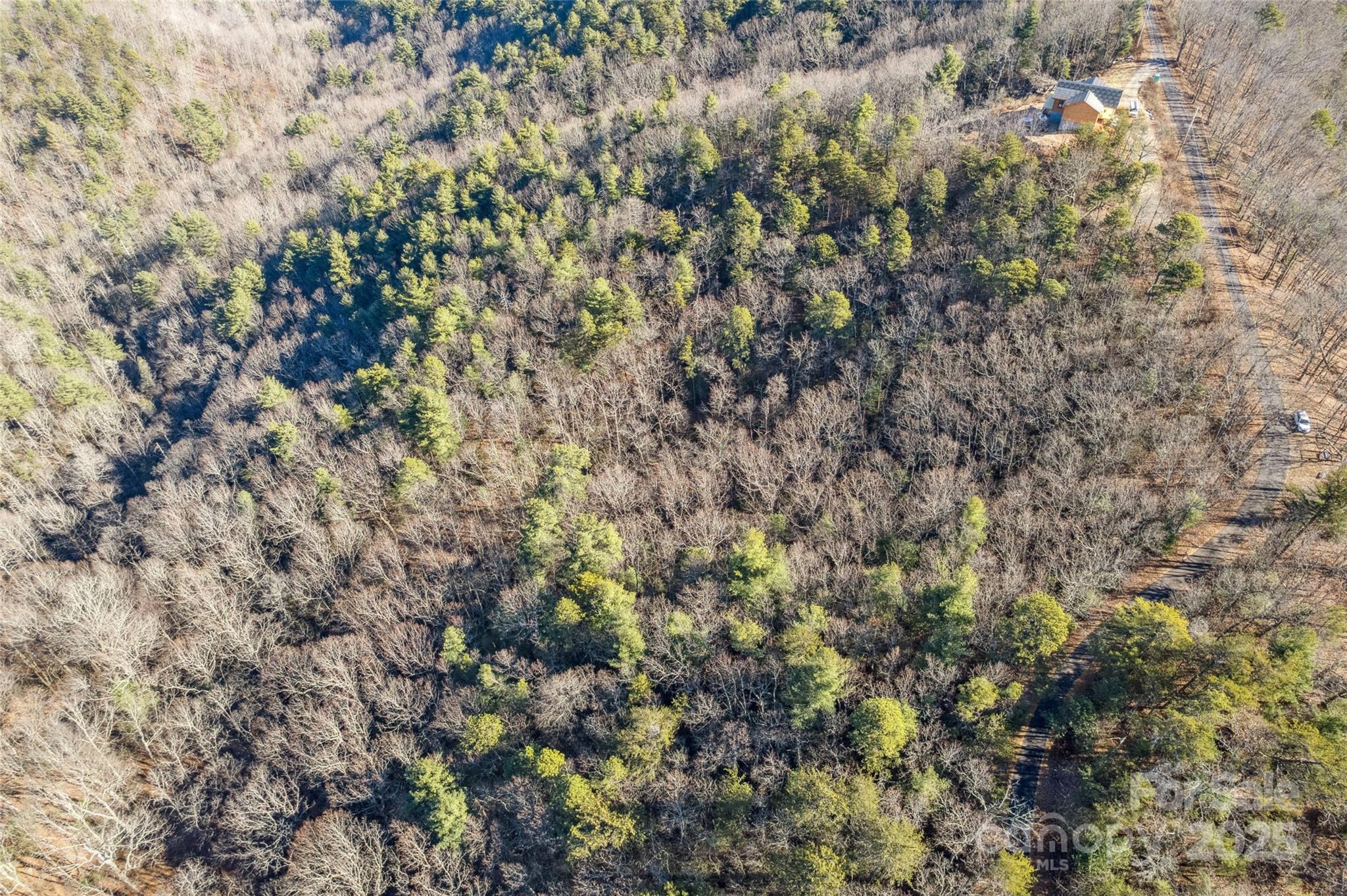 5241 Pine Ridge Drive Connelly Springs NC 28612