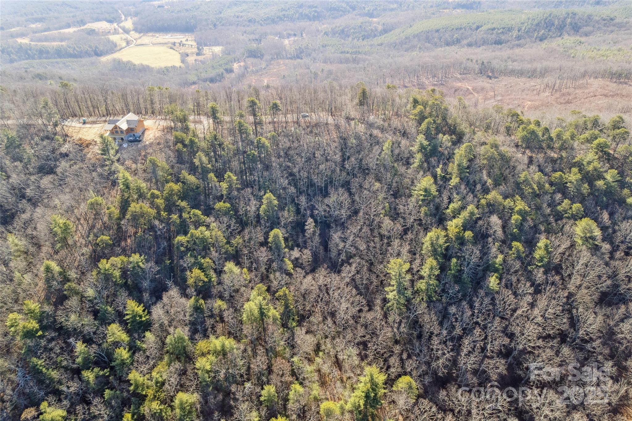 5241 Pine Ridge Drive Connelly Springs NC 28612