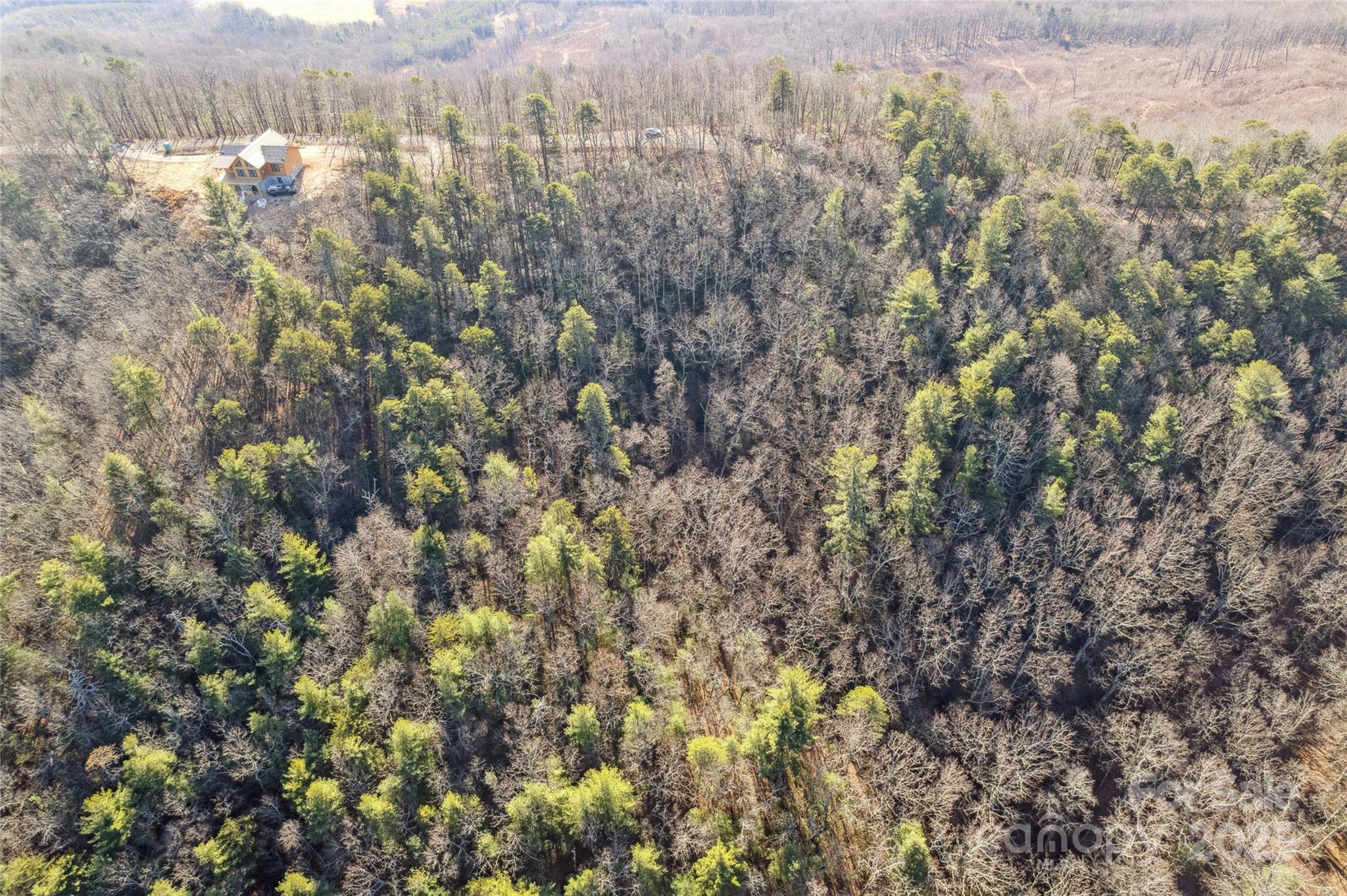 5241 Pine Ridge Drive Connelly Springs NC 28612