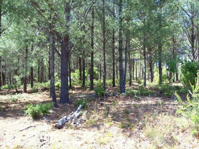 1552 Bear Cliff Drive Nebo NC 28761