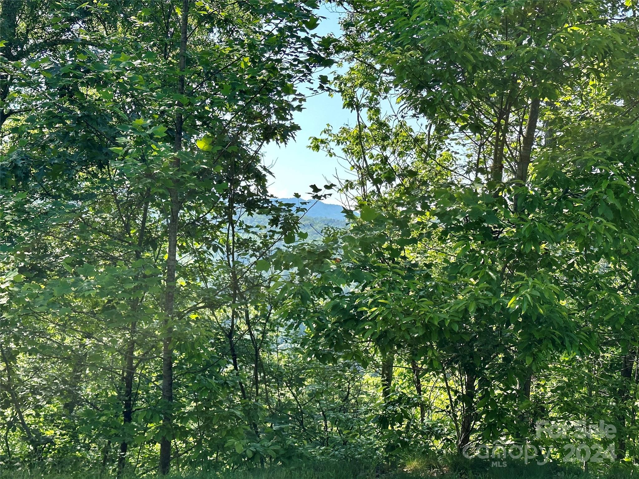 385 Wild River Run Marshall NC 28753