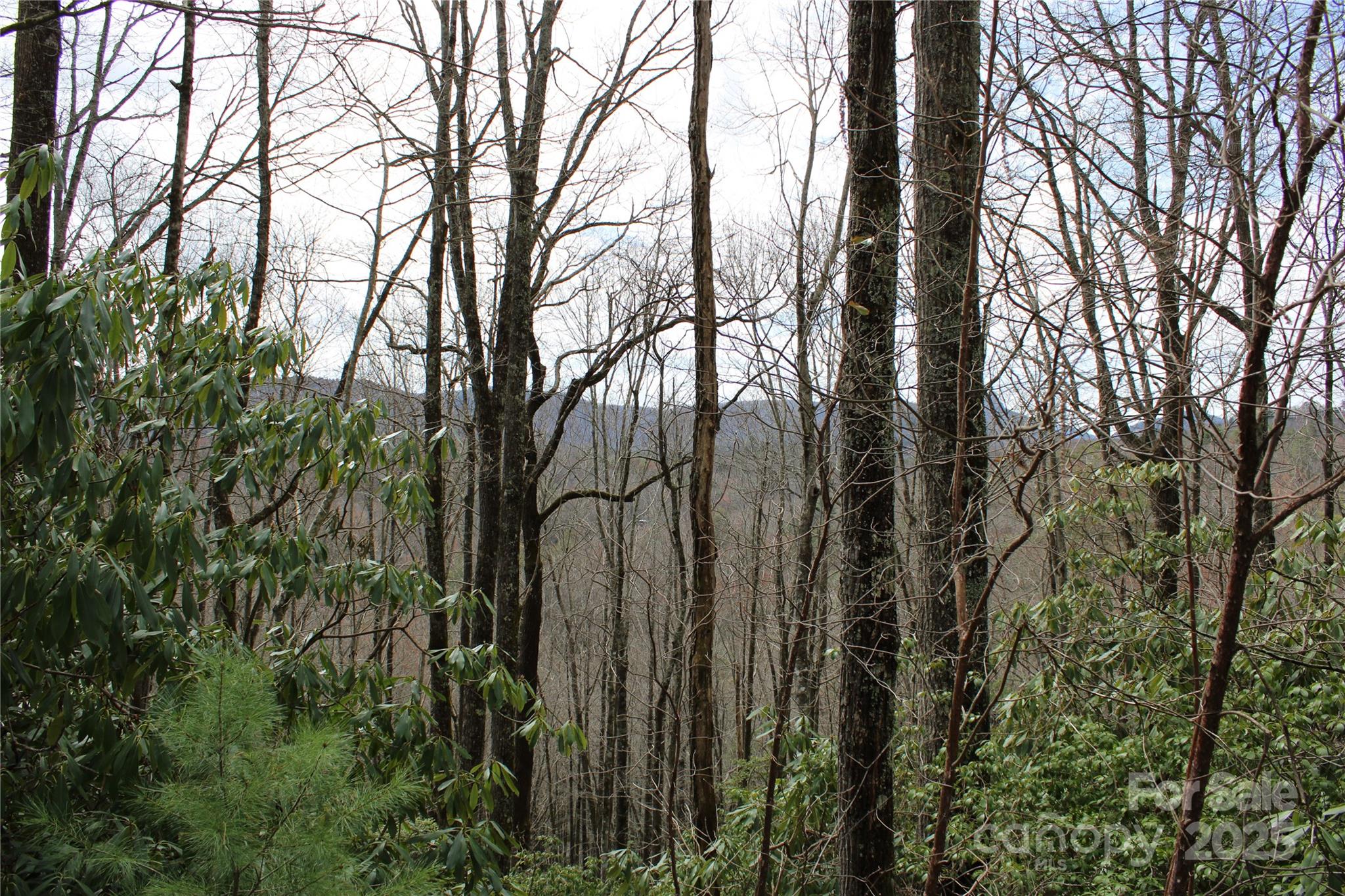 Lot 96 Black Oak Drive Sapphire NC 28774