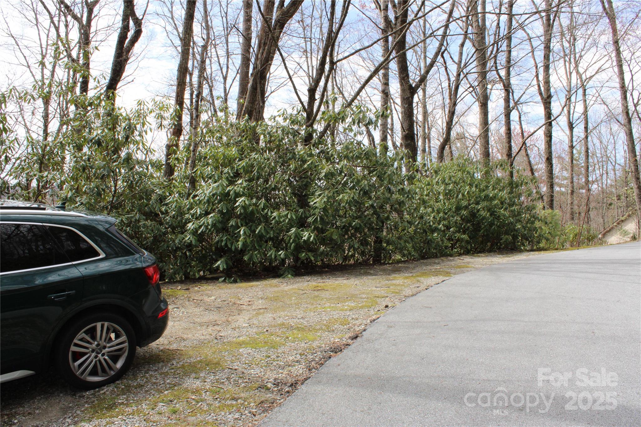 Lot 96 Black Oak Drive Sapphire NC 28774