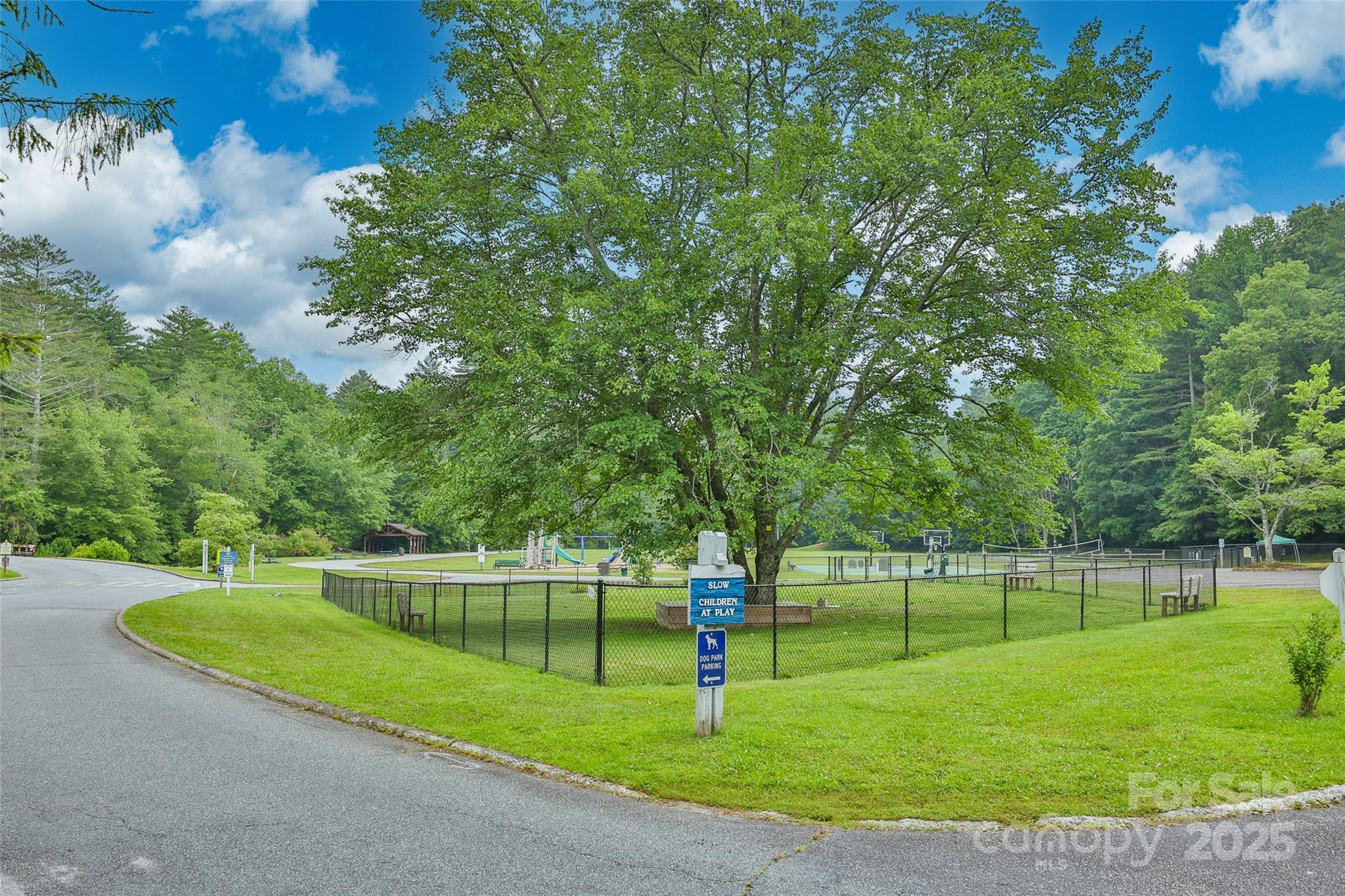 Lot 96 Black Oak Drive Sapphire NC 28774