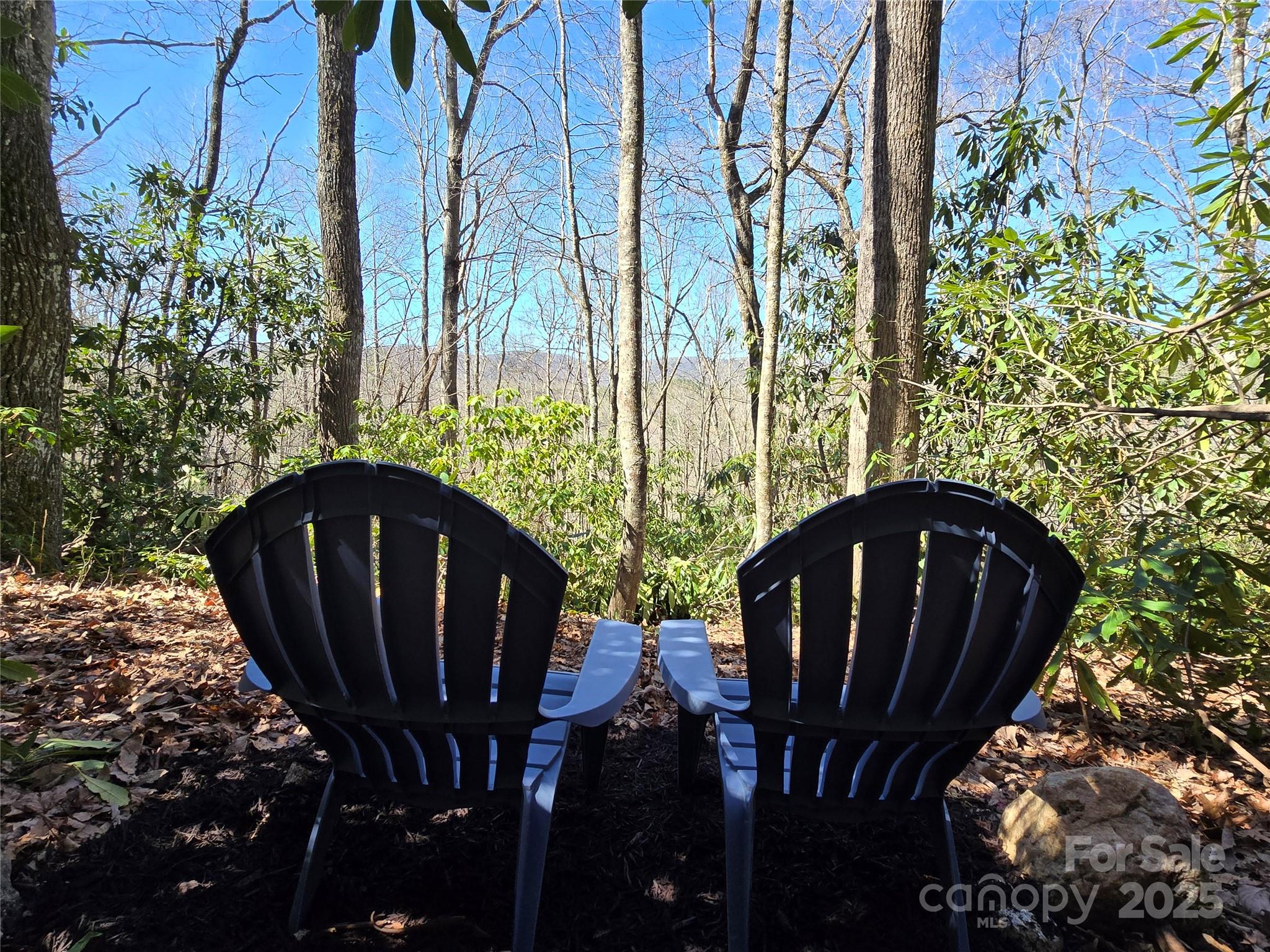 Lot 96 Black Oak Drive Sapphire NC 28774