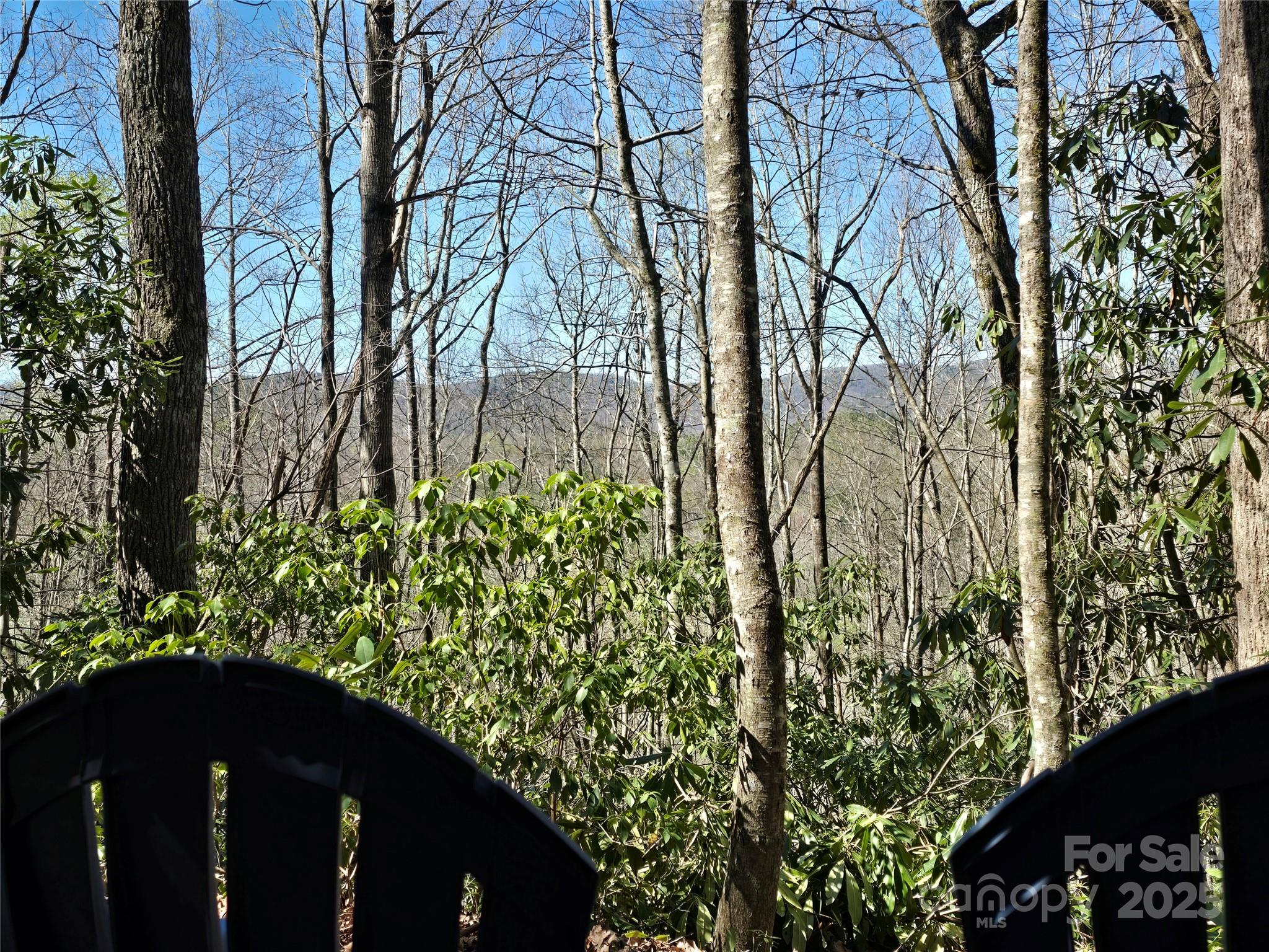 Lot 96 Black Oak Drive Sapphire NC 28774