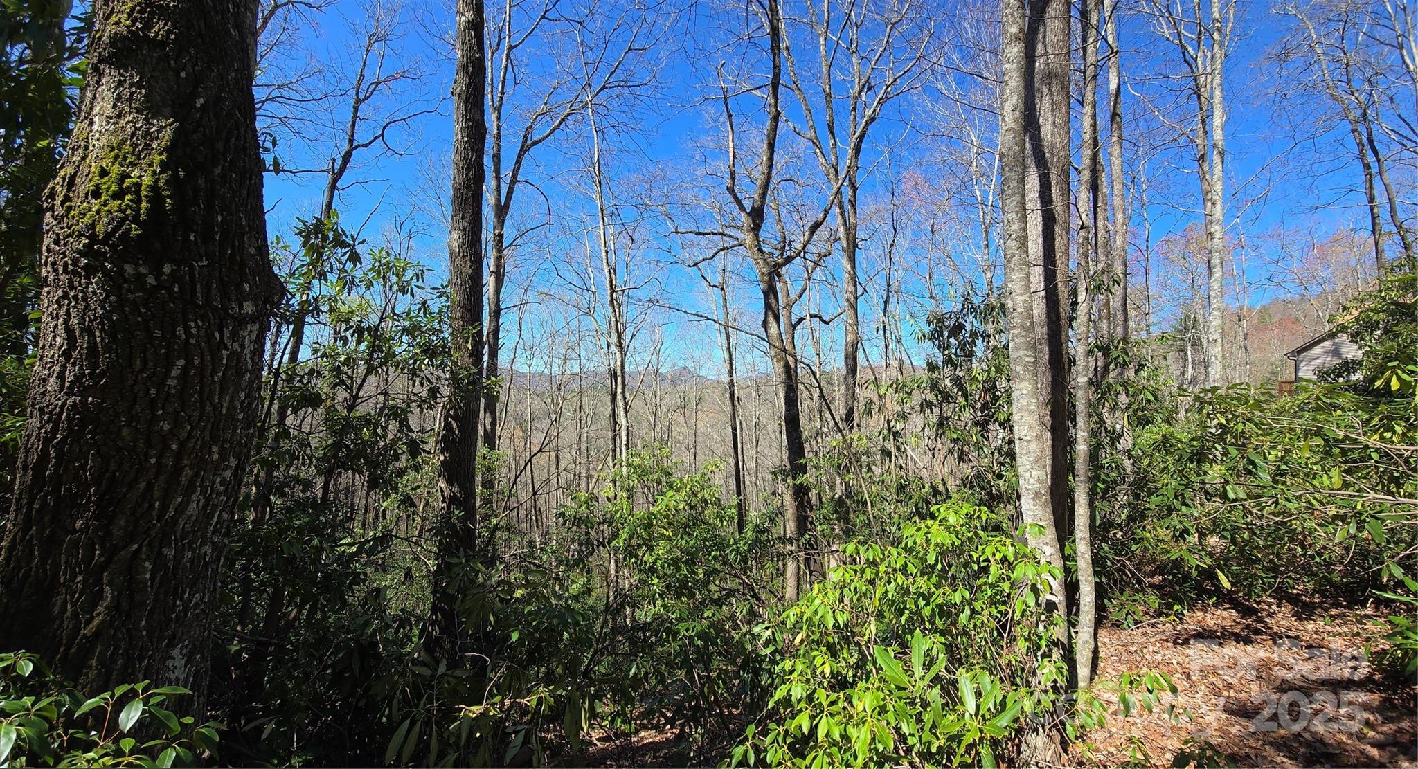 Lot 96 Black Oak Drive Sapphire NC 28774