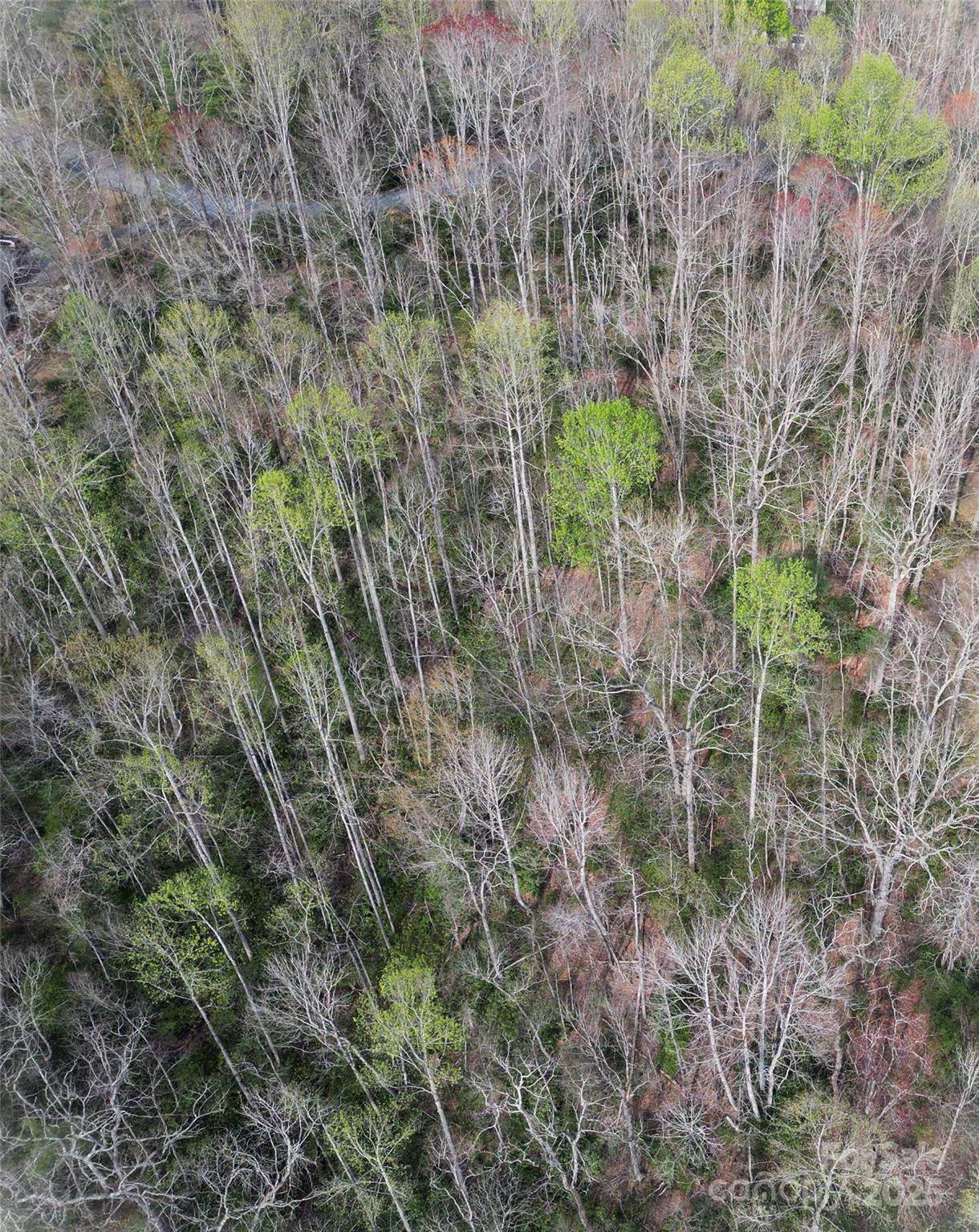 Lot 96 Black Oak Drive Sapphire NC 28774