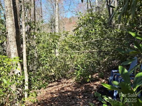 Lot 96 Black Oak Drive Sapphire NC 28774