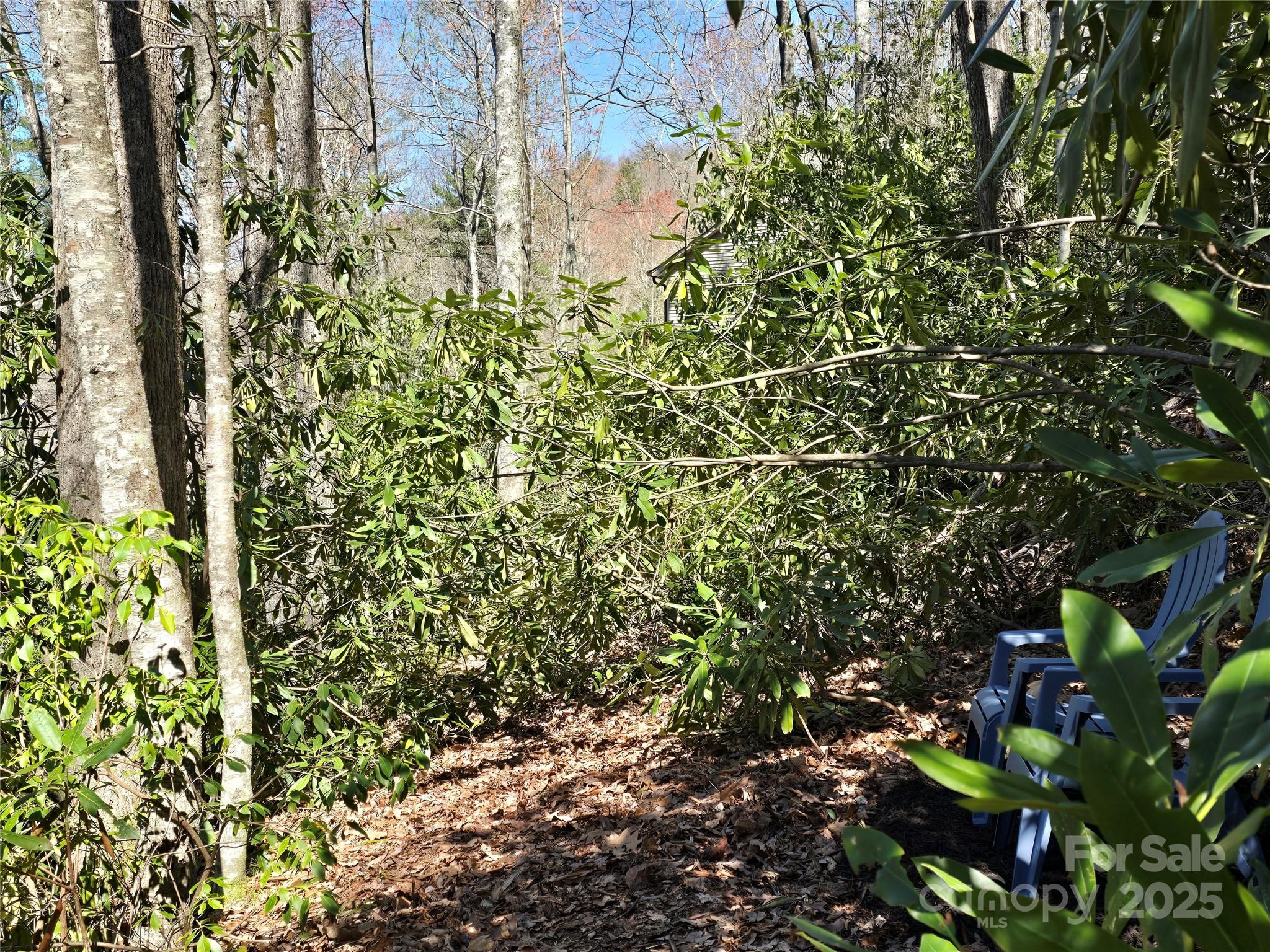 Lot 96 Black Oak Drive Sapphire NC 28774