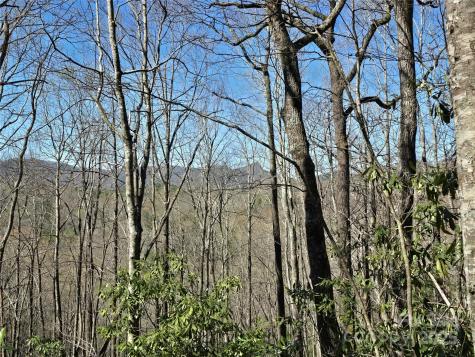 Lot 96 Black Oak Drive Sapphire NC 28774