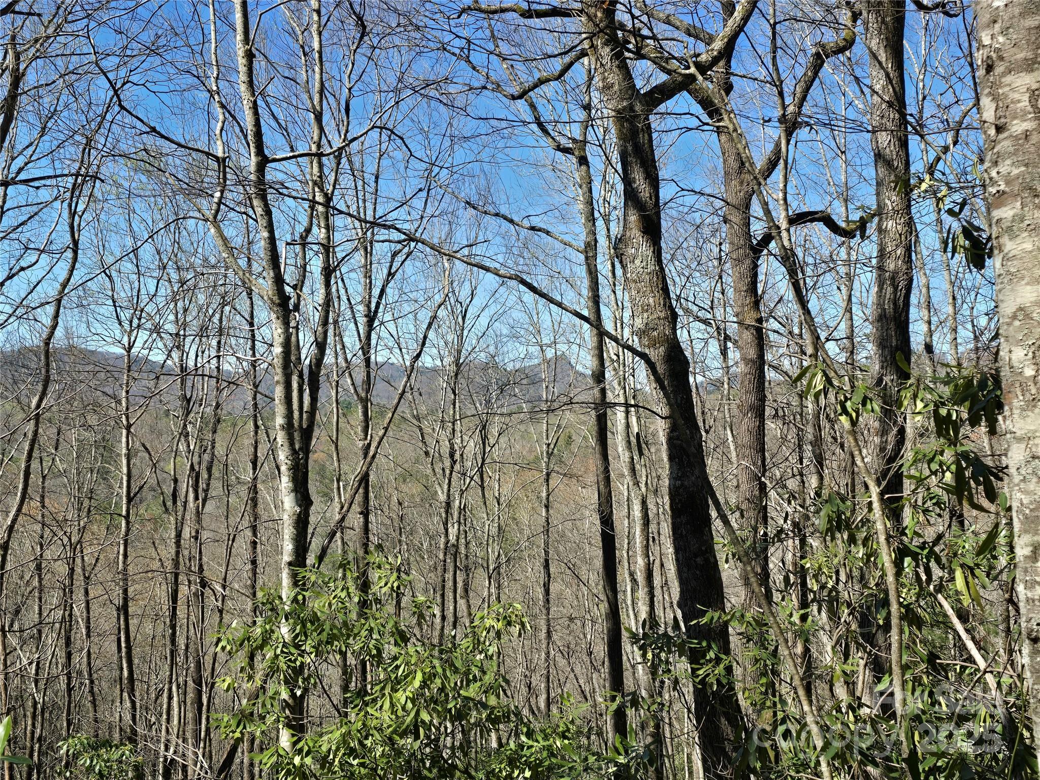 Lot 96 Black Oak Drive Sapphire NC 28774