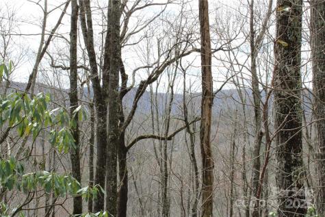 Lot 96 Black Oak Drive Sapphire NC 28774