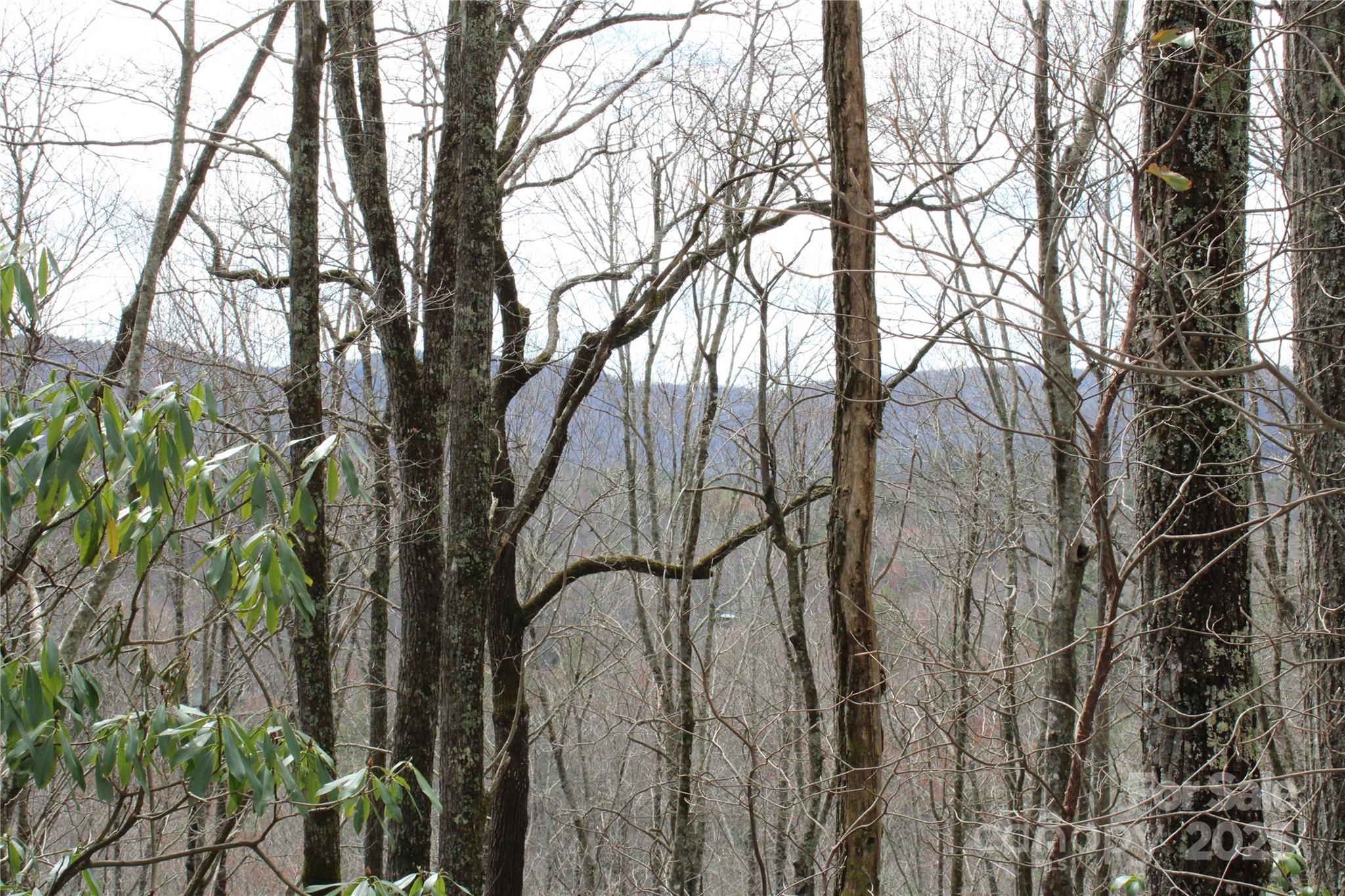 Lot 96 Black Oak Drive Sapphire NC 28774