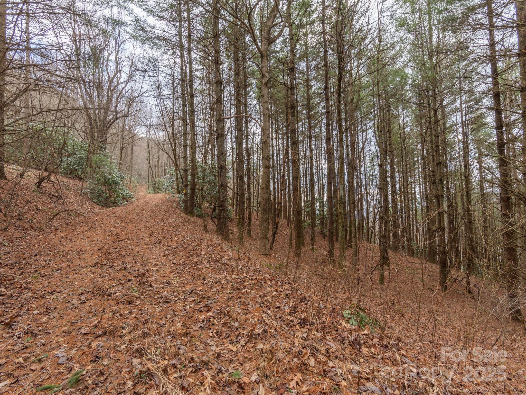 00 Bald Creek Road Clyde NC 28721