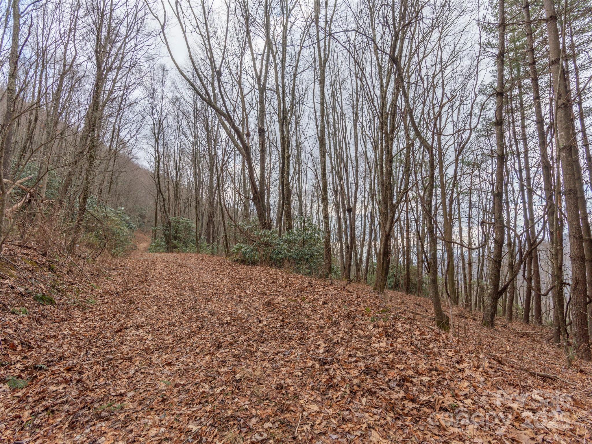 00 Bald Creek Road Clyde NC 28721