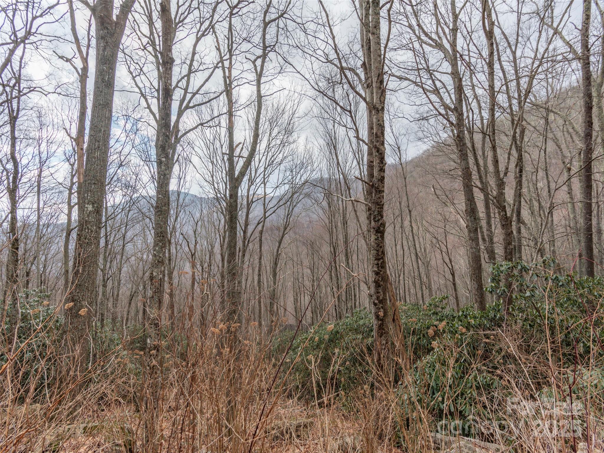 00 Bald Creek Road Clyde NC 28721