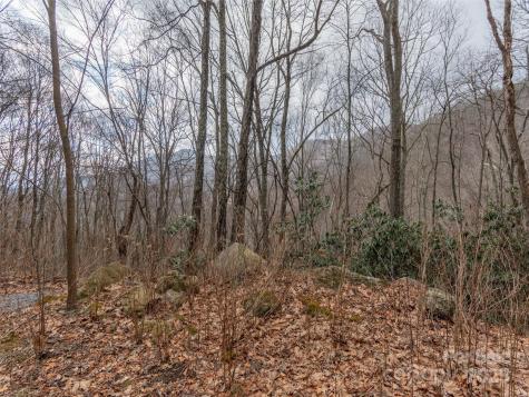 00 Bald Creek Road Clyde NC 28721