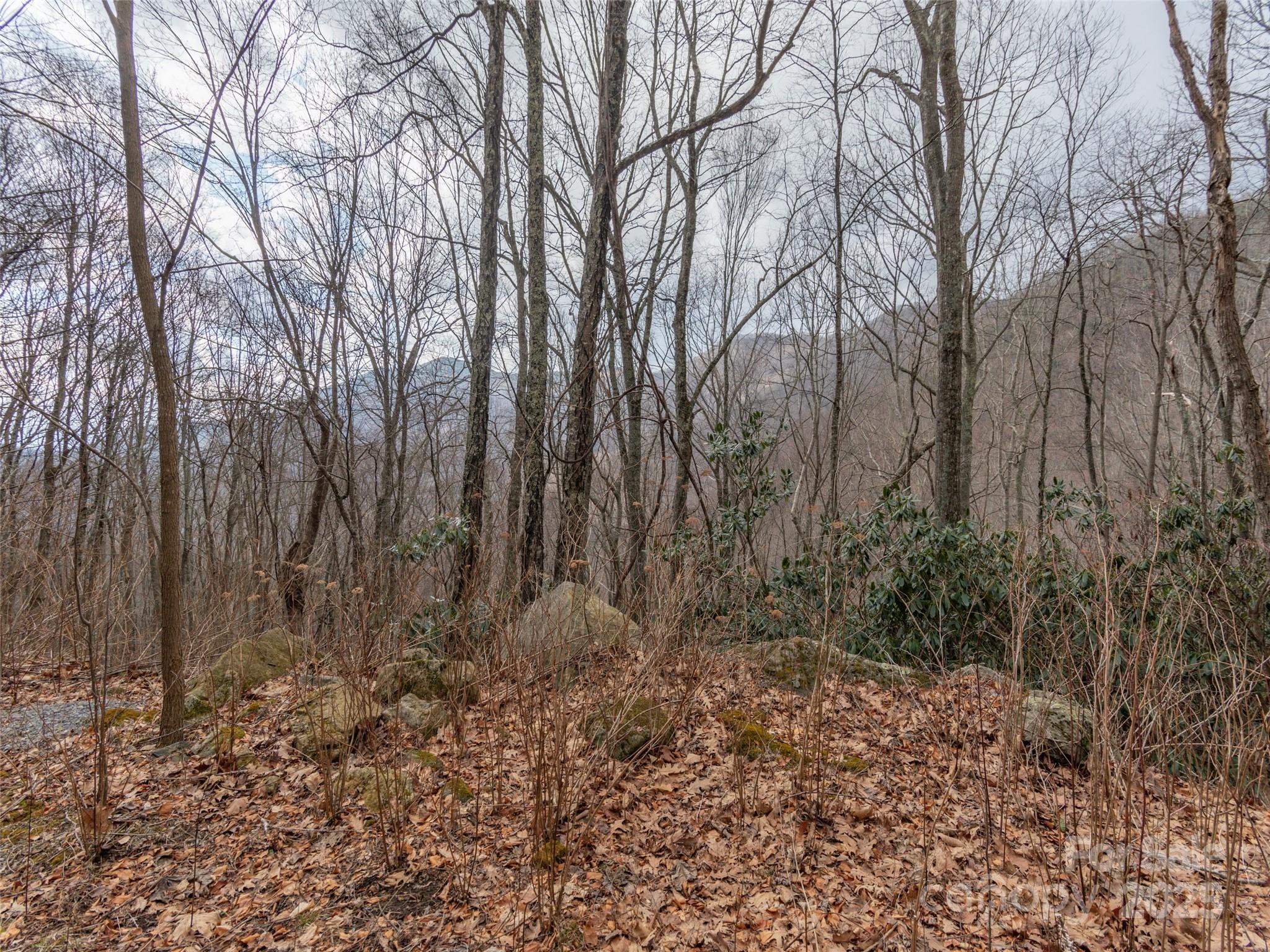 00 Bald Creek Road Clyde NC 28721