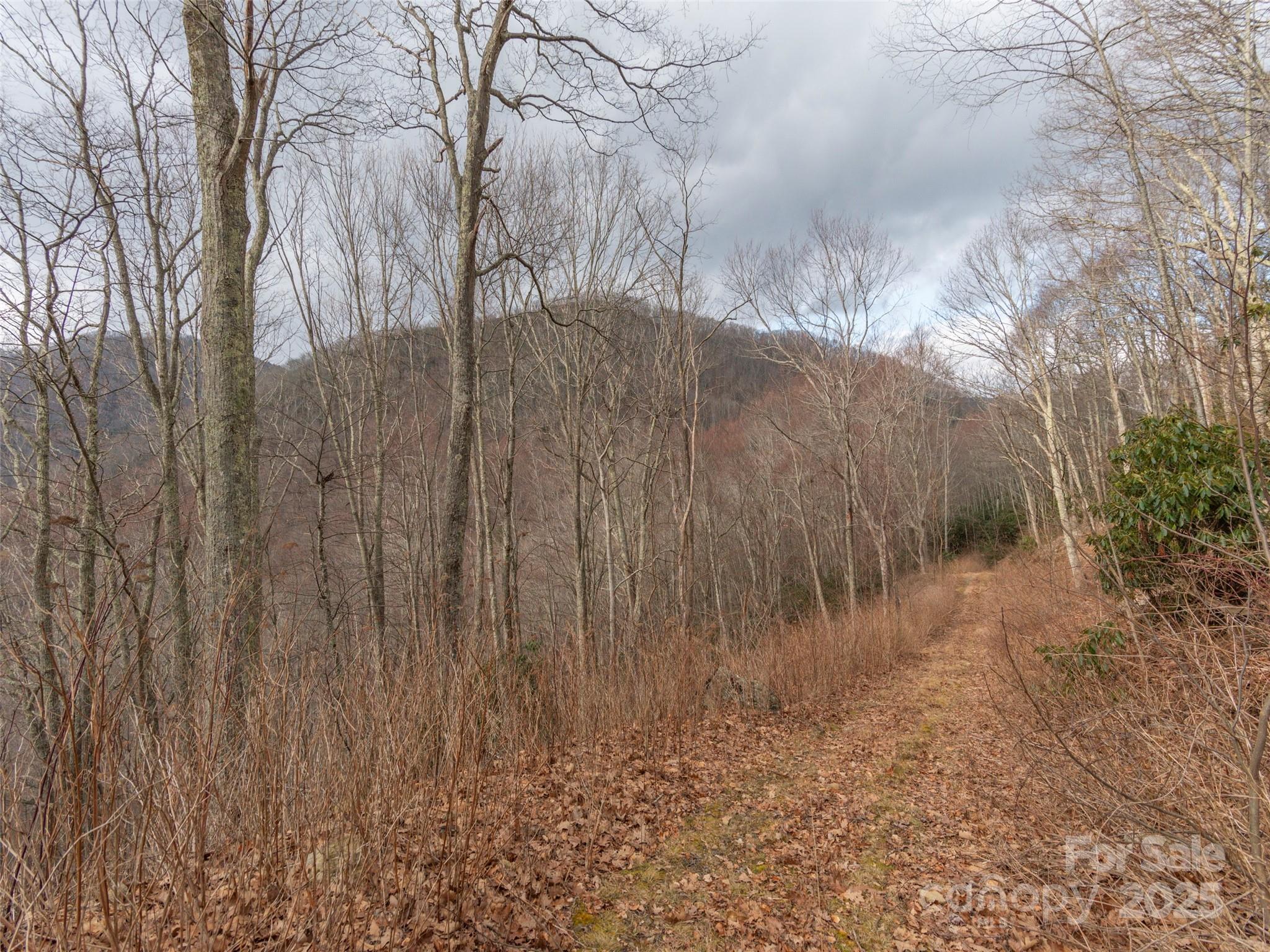 00 Bald Creek Road Clyde NC 28721
