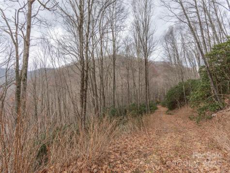 00 Bald Creek Road Clyde NC 28721