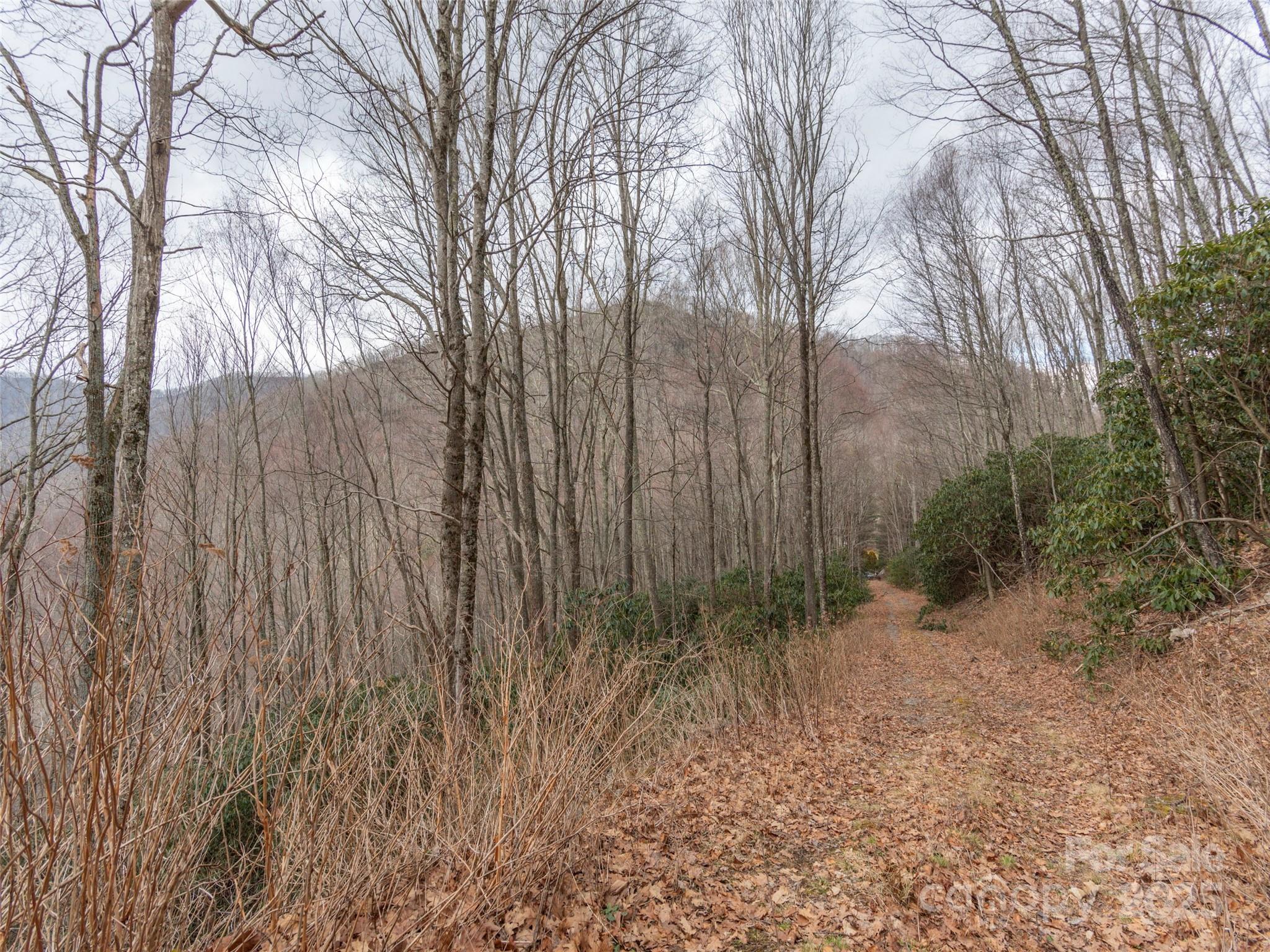 00 Bald Creek Road Clyde NC 28721