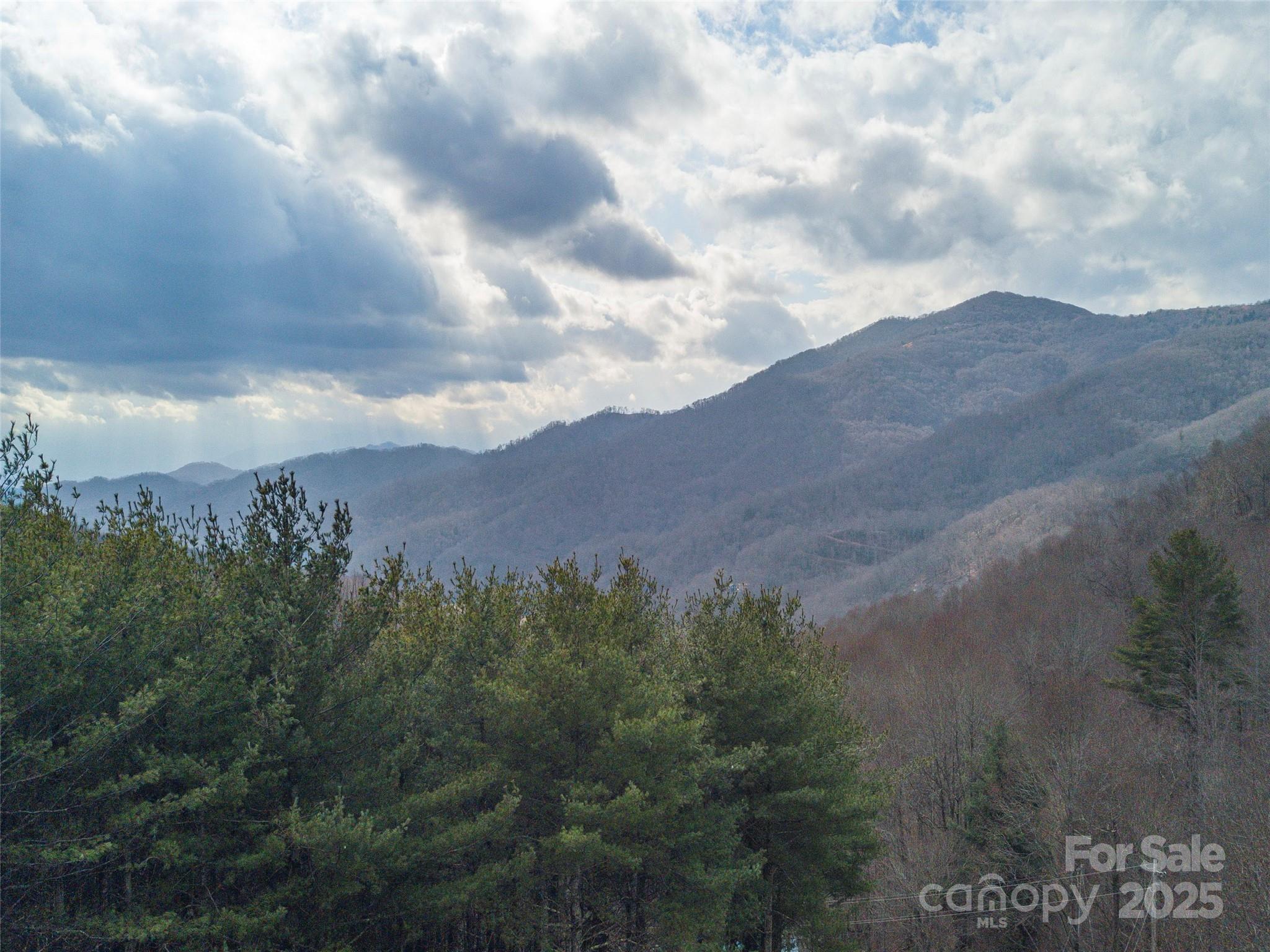 00 Bald Creek Road Clyde NC 28721