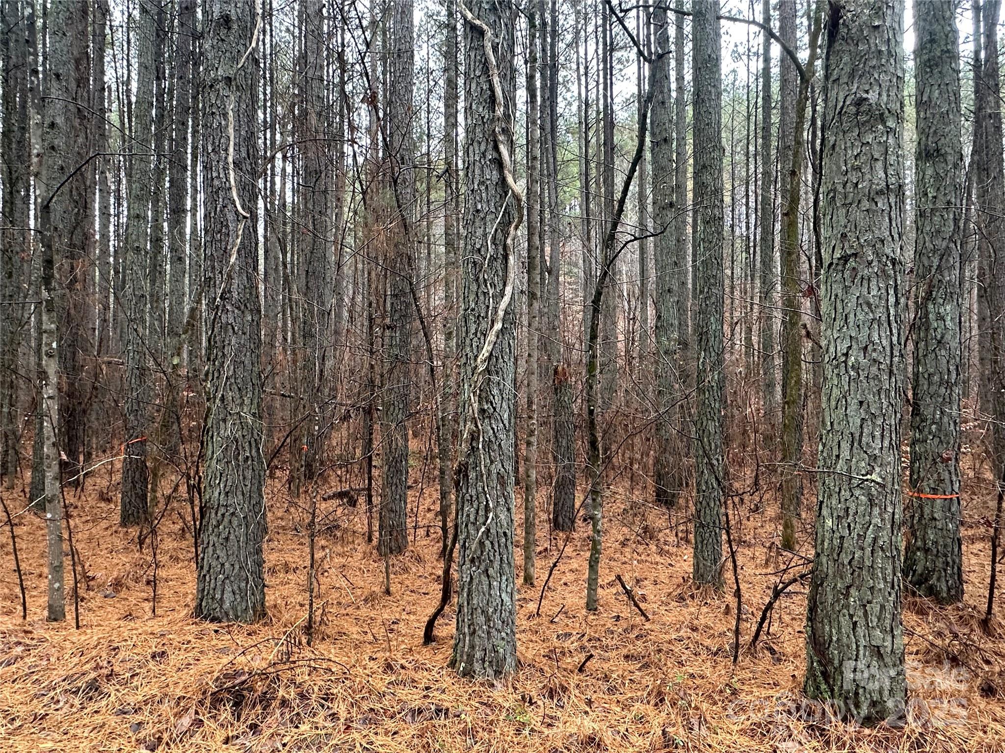 0 Frog Creek Road Union Mills NC 28167