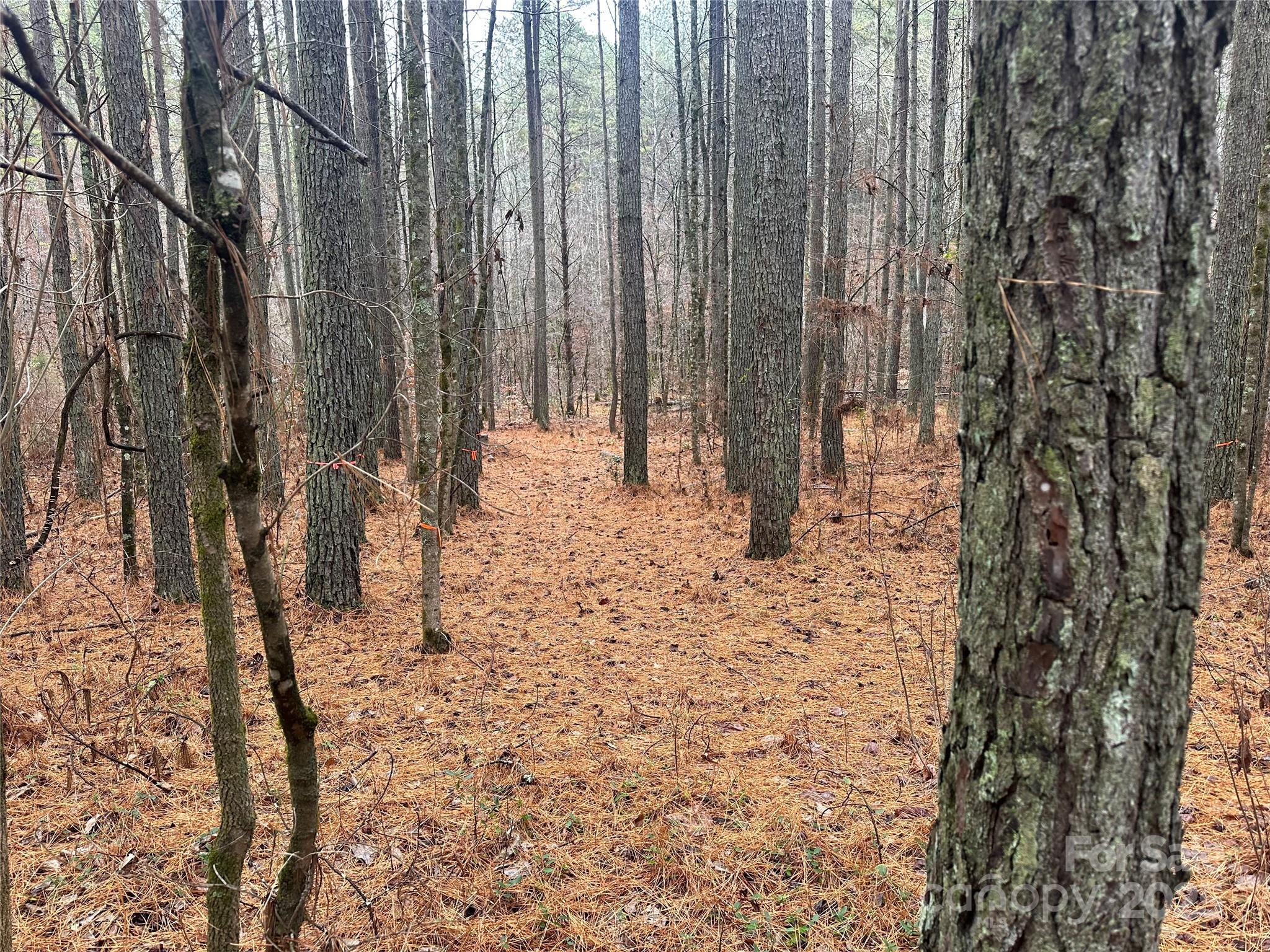0 Frog Creek Road Union Mills NC 28167
