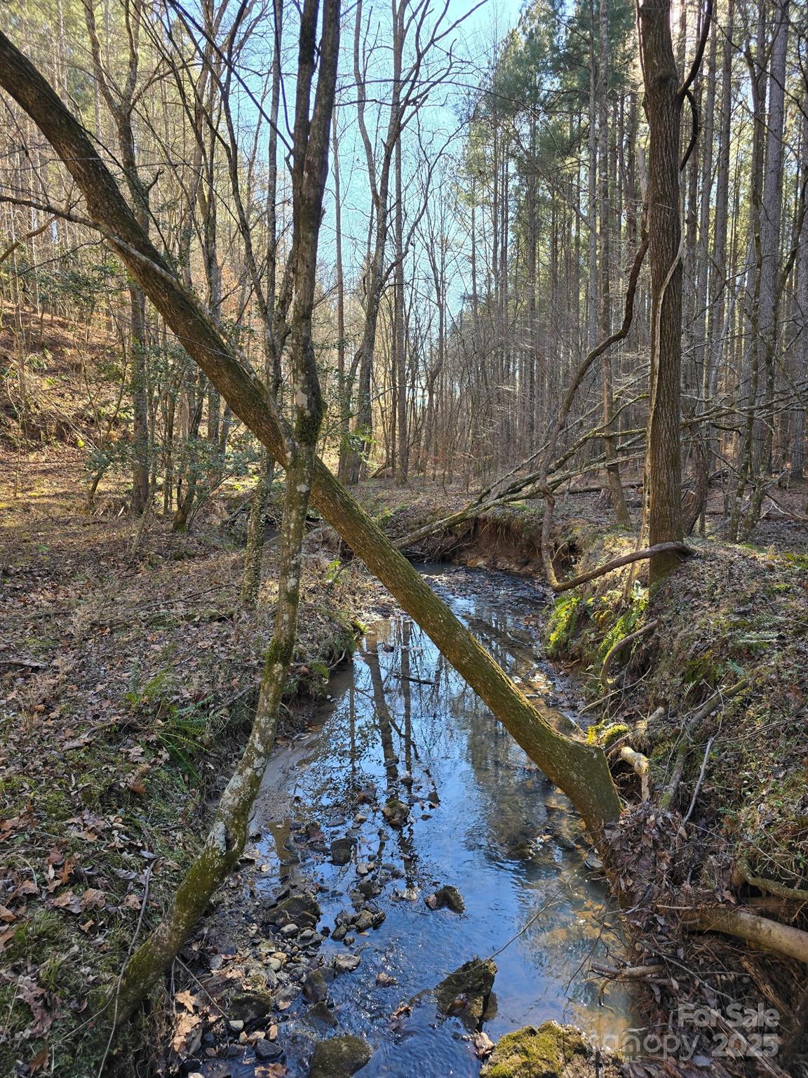 0 Frog Creek Road Union Mills NC 28167
