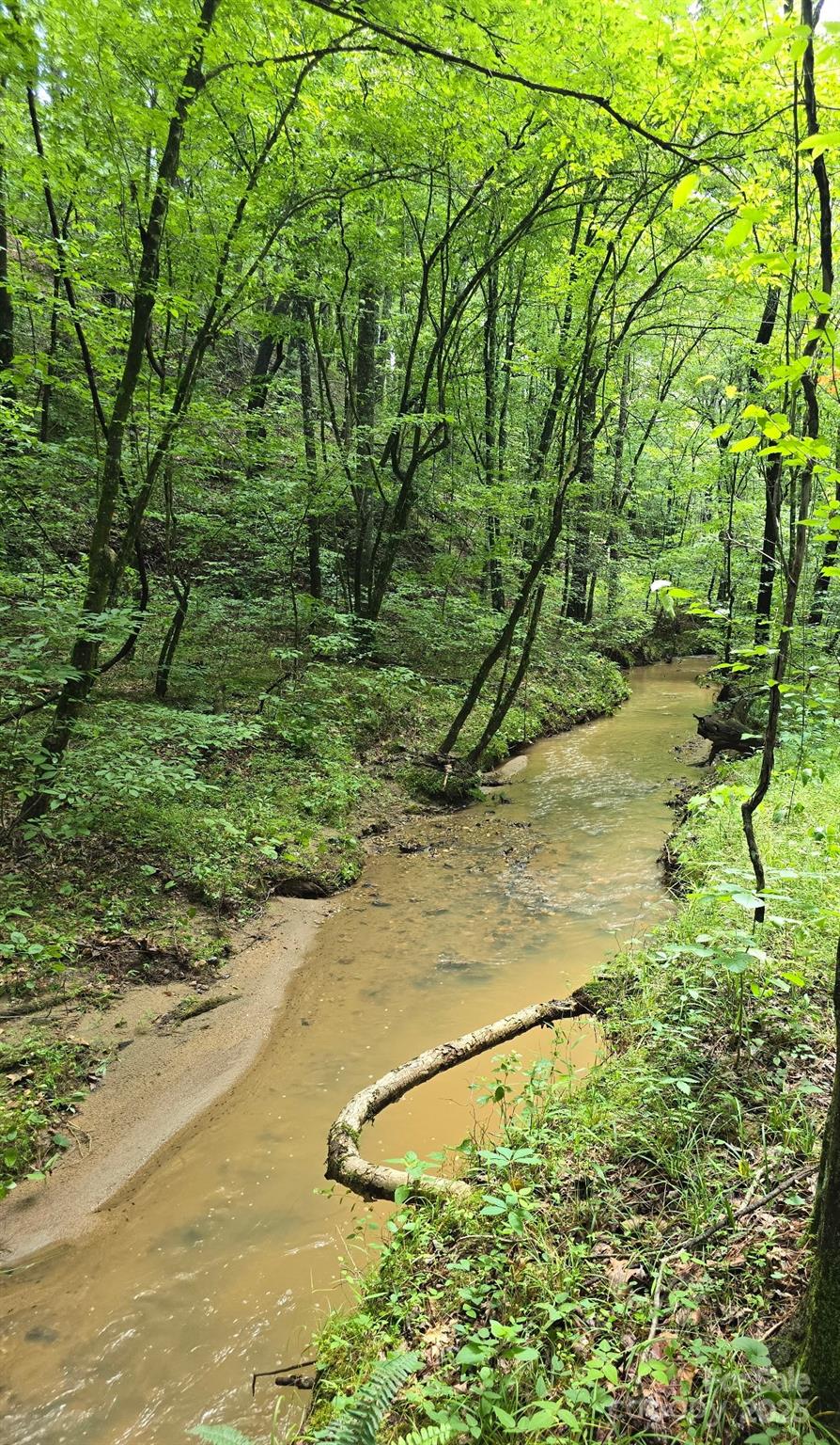 0 Frog Creek Road Union Mills NC 28167