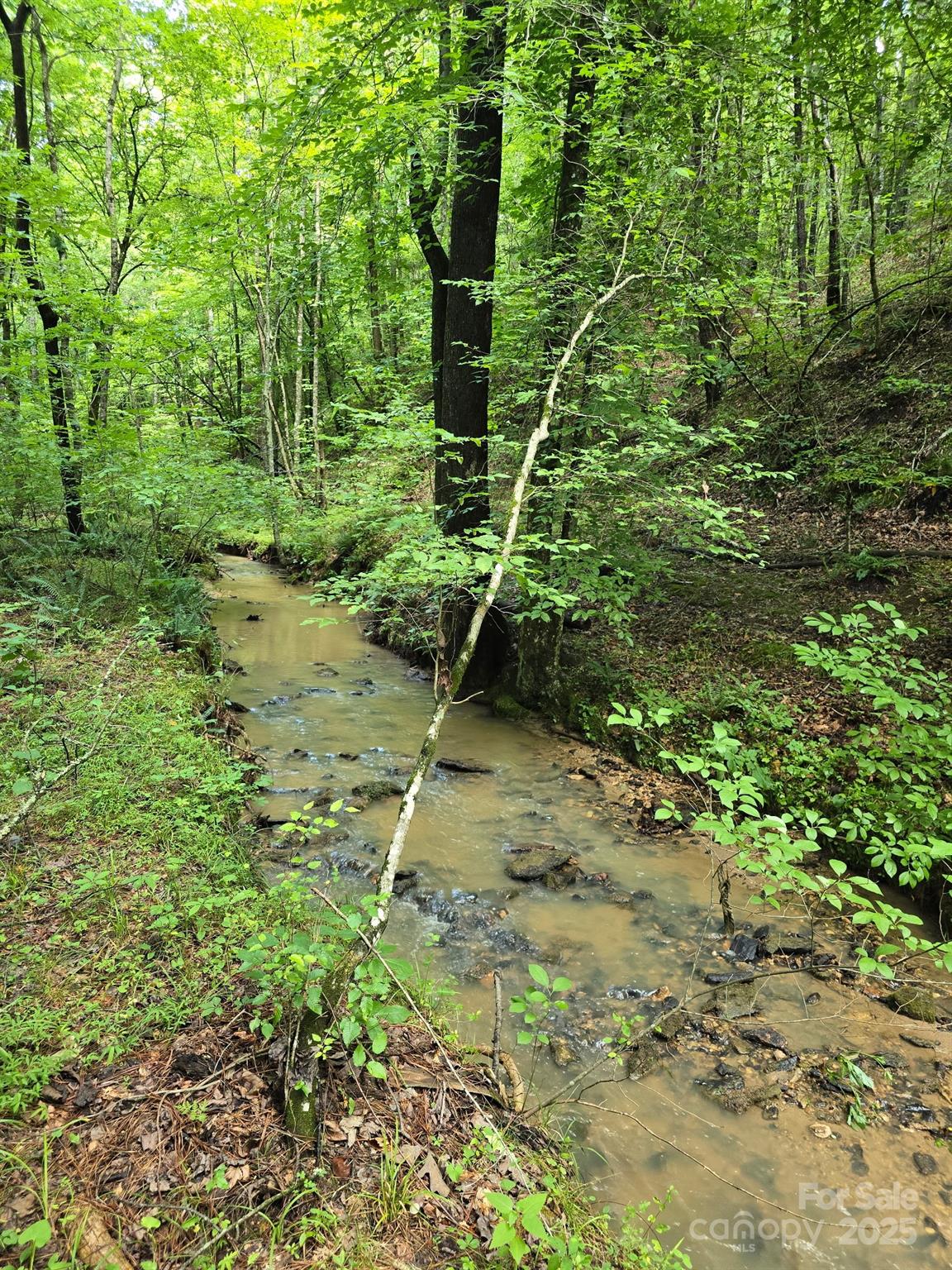 0 Frog Creek Road Union Mills NC 28167