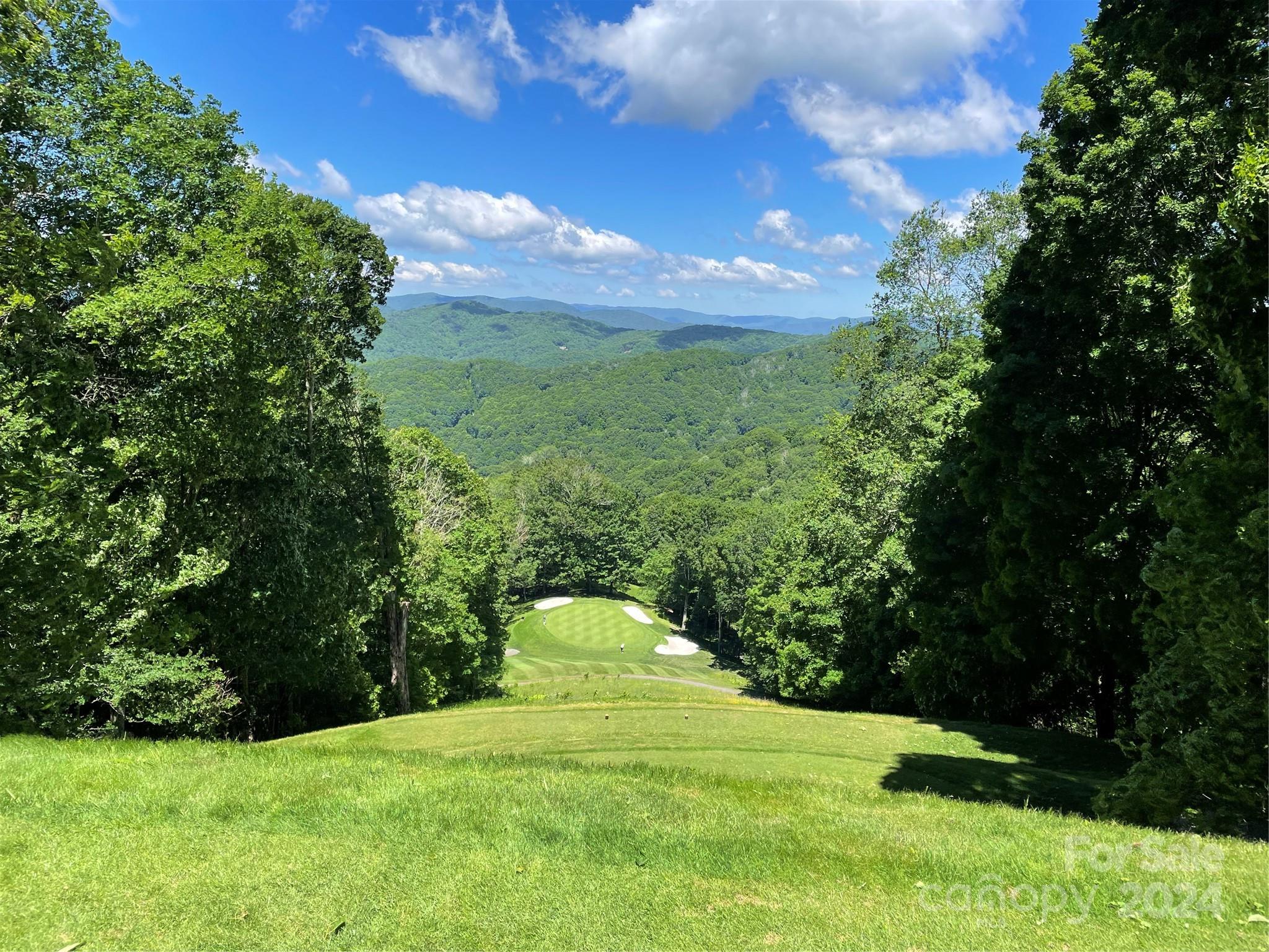000 El Miner Drive Mars Hill NC 28754
