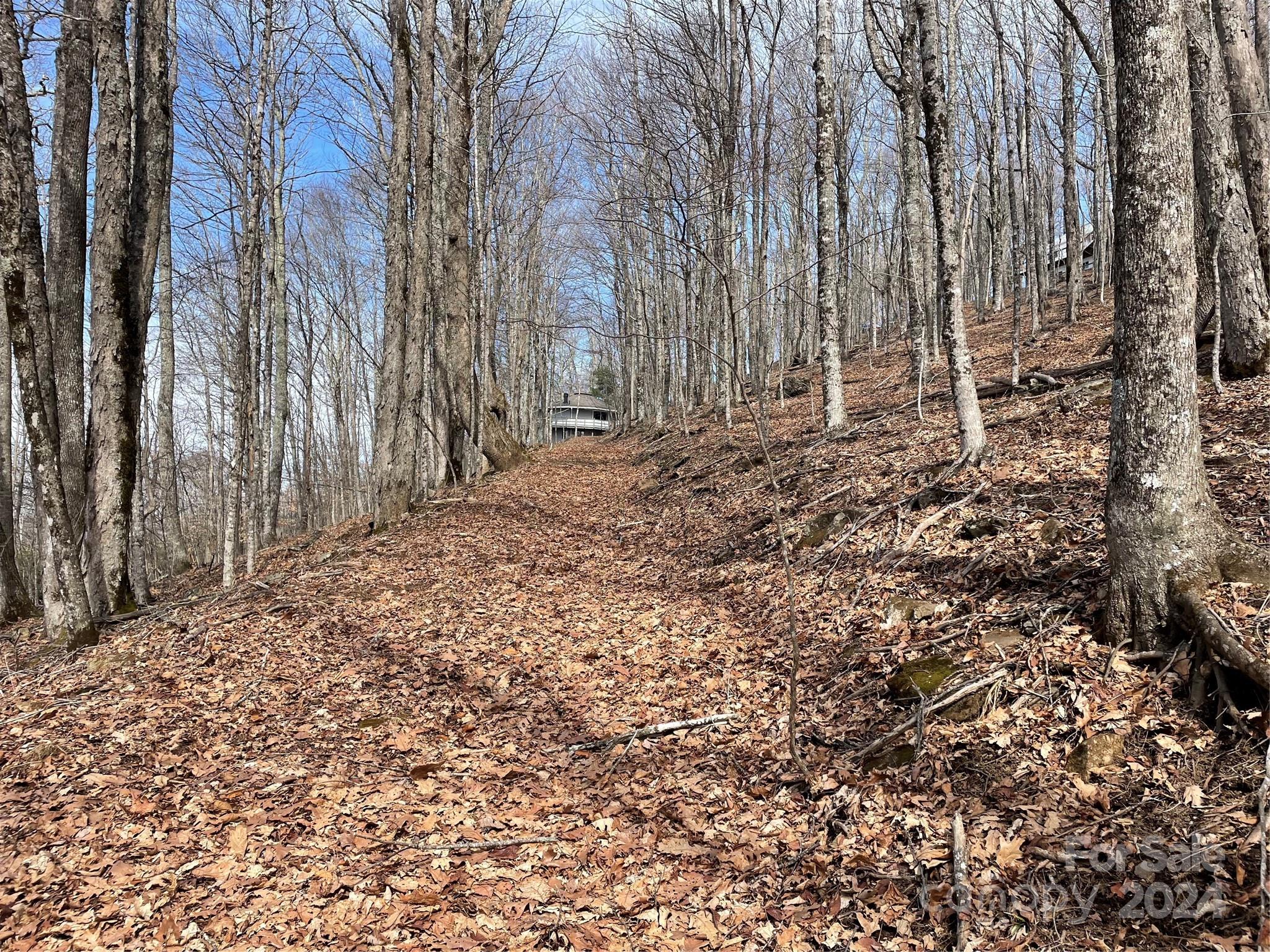 000 El Miner Drive Mars Hill NC 28754