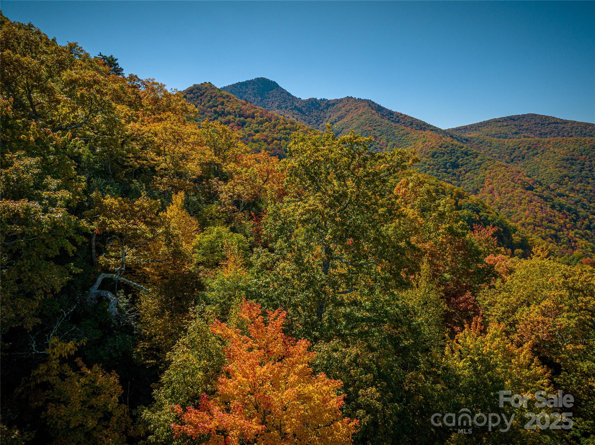 40 & 41 Falcon Crest Loop Waynesville NC 28786