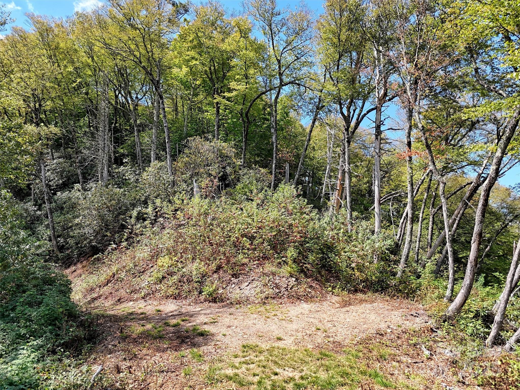 2 Black Rock Road Cherokee NC 28779
