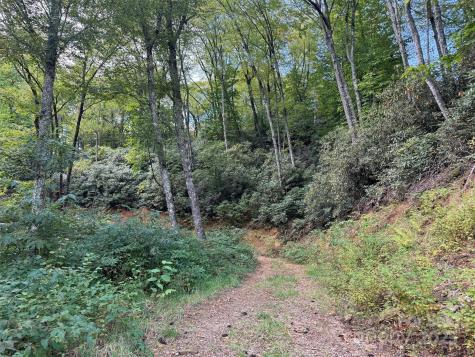 2 Black Rock Road Cherokee NC 28779