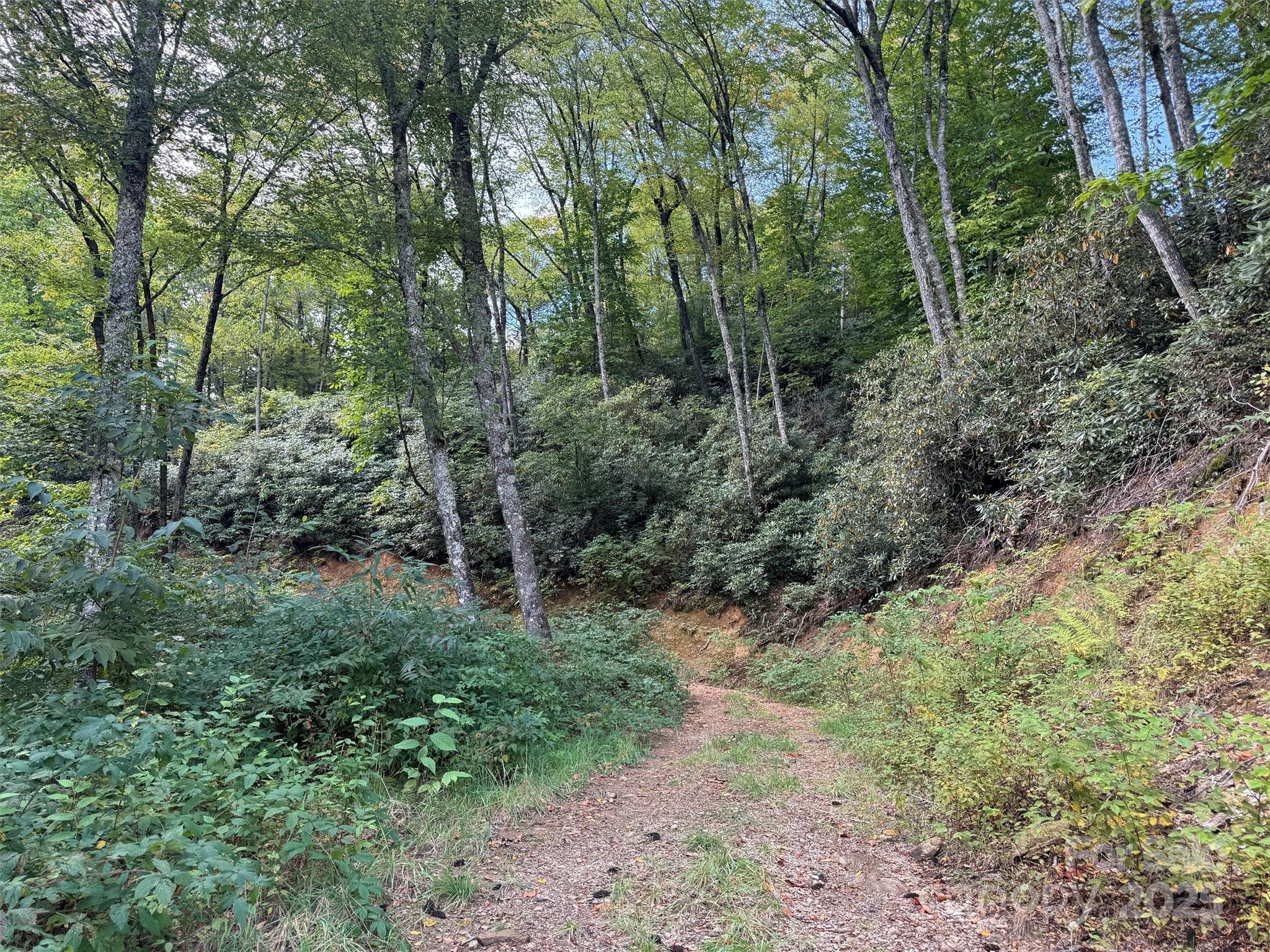 2 Black Rock Road Cherokee NC 28779