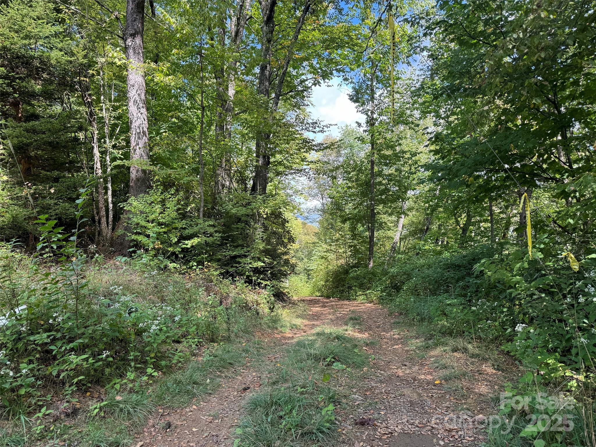 2 Black Rock Road Cherokee NC 28779