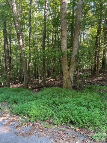 0 Lakeside Drive Union SC 29379