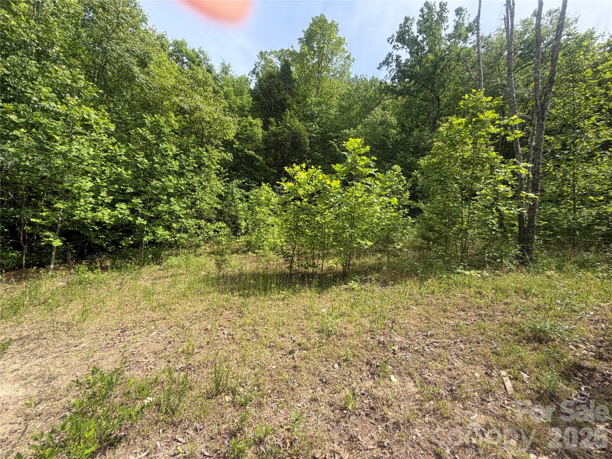 1411 Cedar Creek Road Lake Lure NC 28746