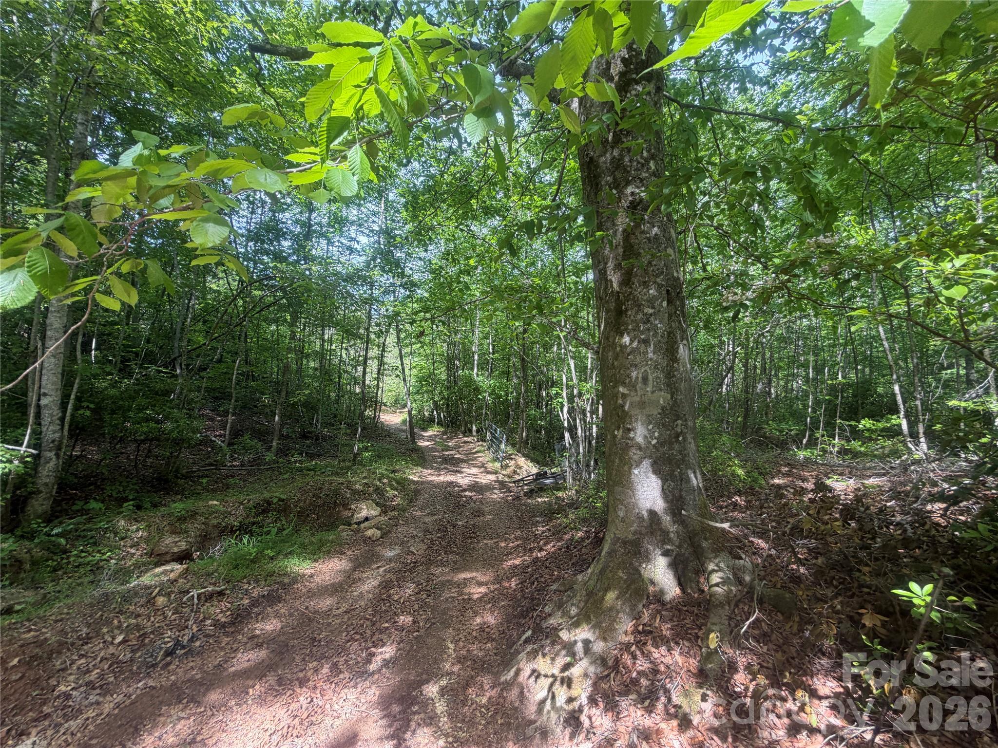 1411 Cedar Creek Road Lake Lure NC 28746