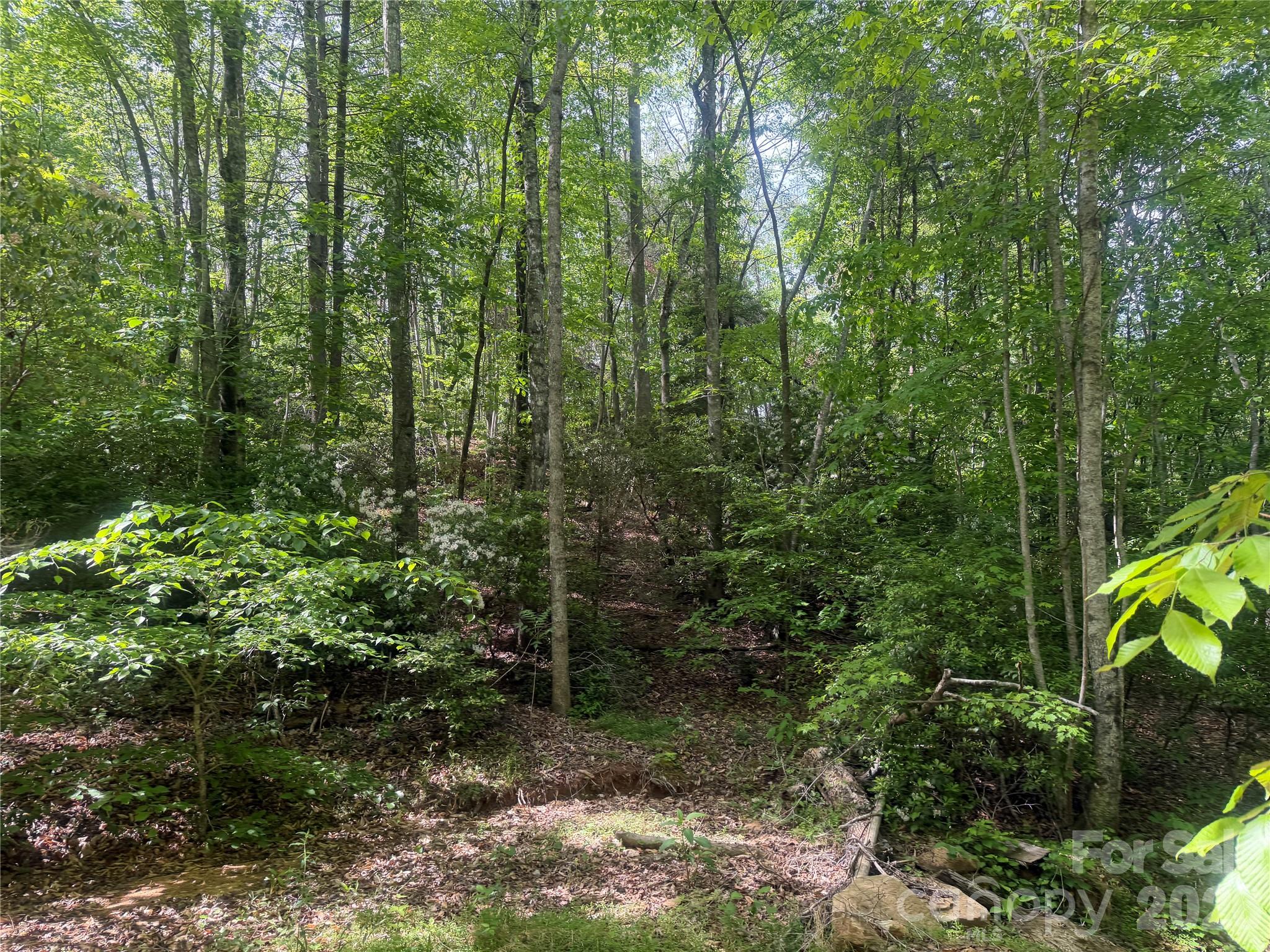 1411 Cedar Creek Road Lake Lure NC 28746