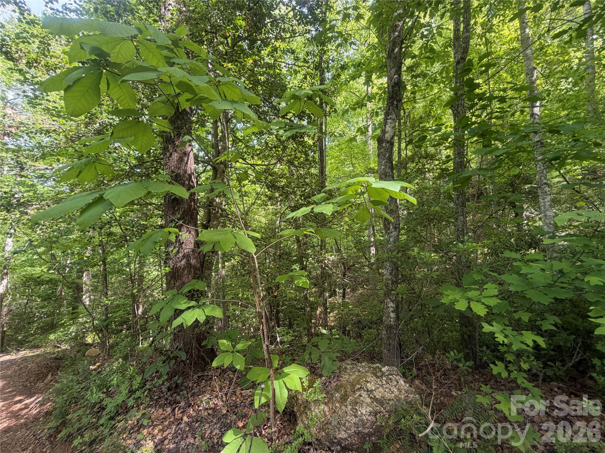 1411 Cedar Creek Road Lake Lure NC 28746