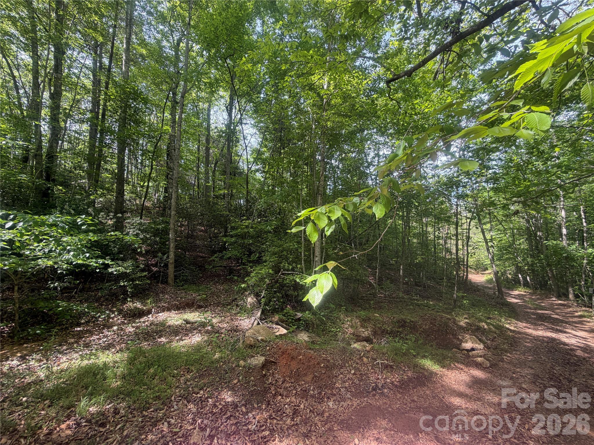 1411 Cedar Creek Road Lake Lure NC 28746