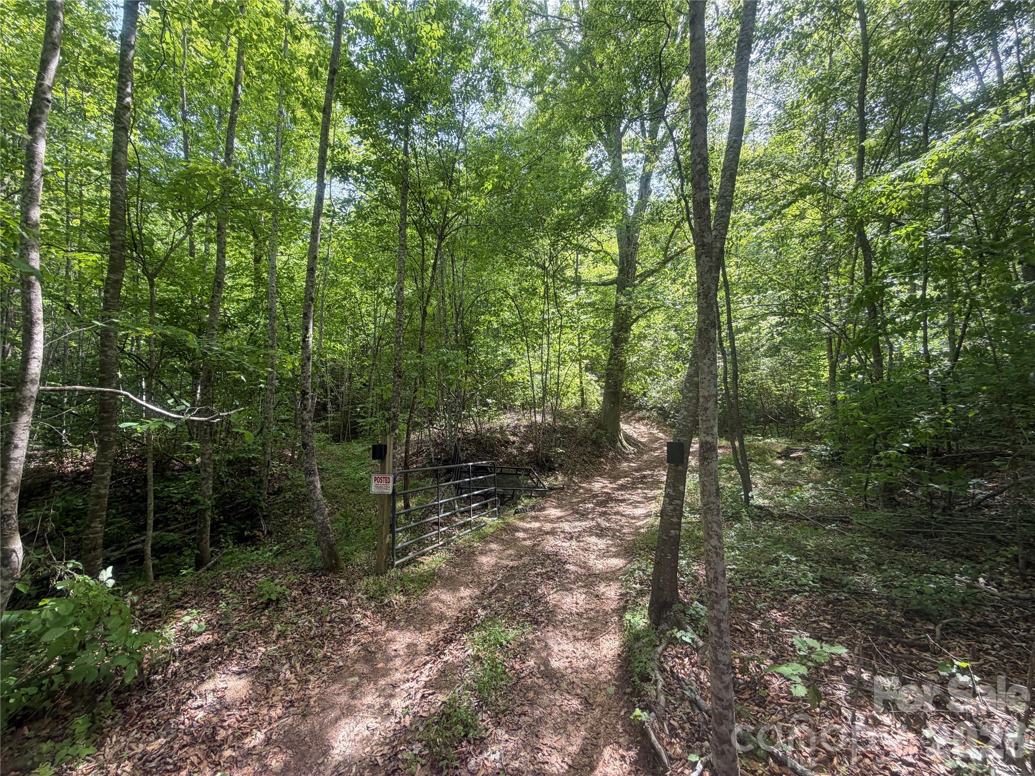 1411 Cedar Creek Road Lake Lure NC 28746